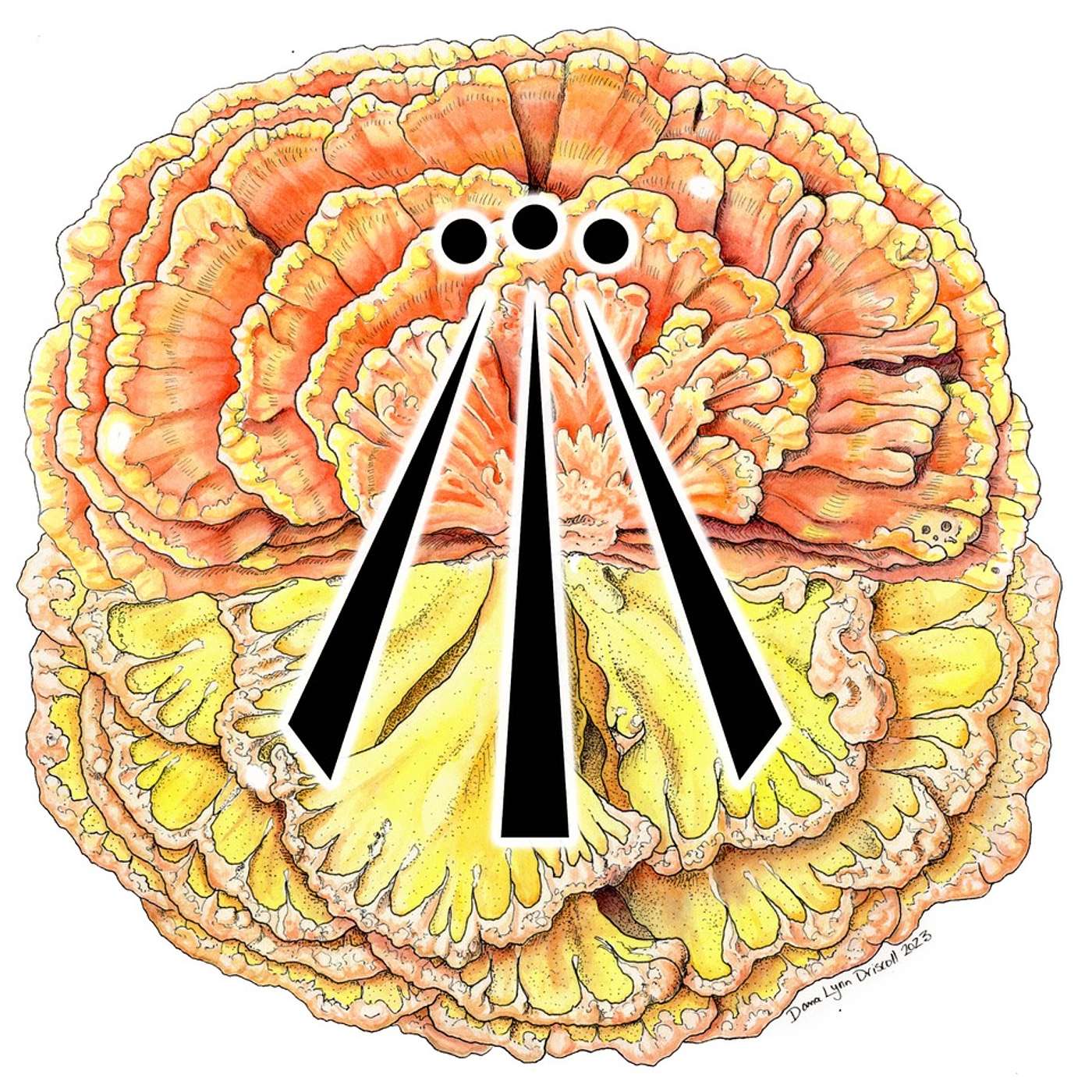 015: Babs a Bard-Druid Companion, and a Deacon in the Gnostic Celtic Church 015: Babs a Bard-Druid Companion, and a Deacon in the Gnostic Celtic Church