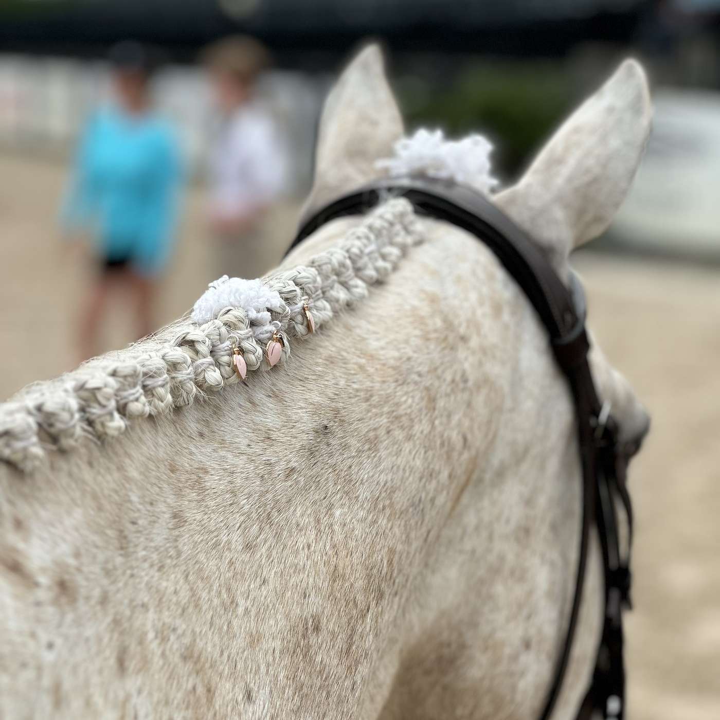 Episode 56: Braider Gate--The Drama Behind the Mane