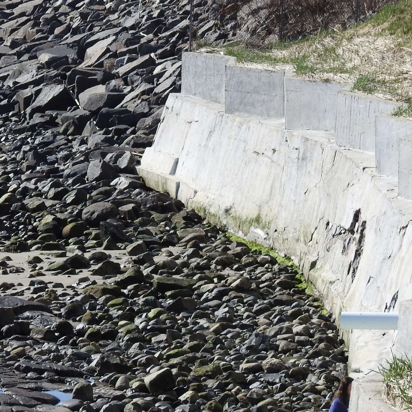 REPAIRING A WALL