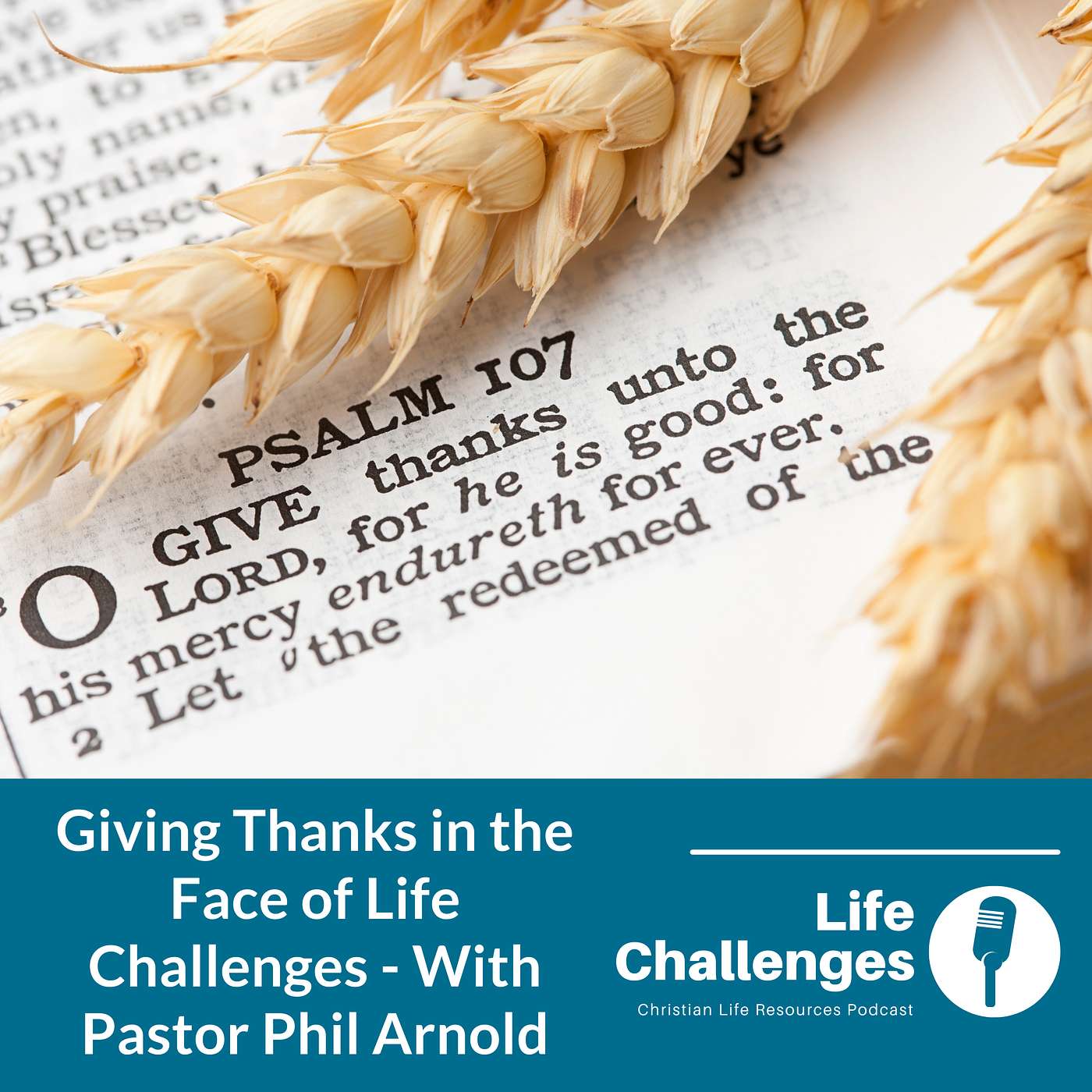 The Life Challenges Podcast