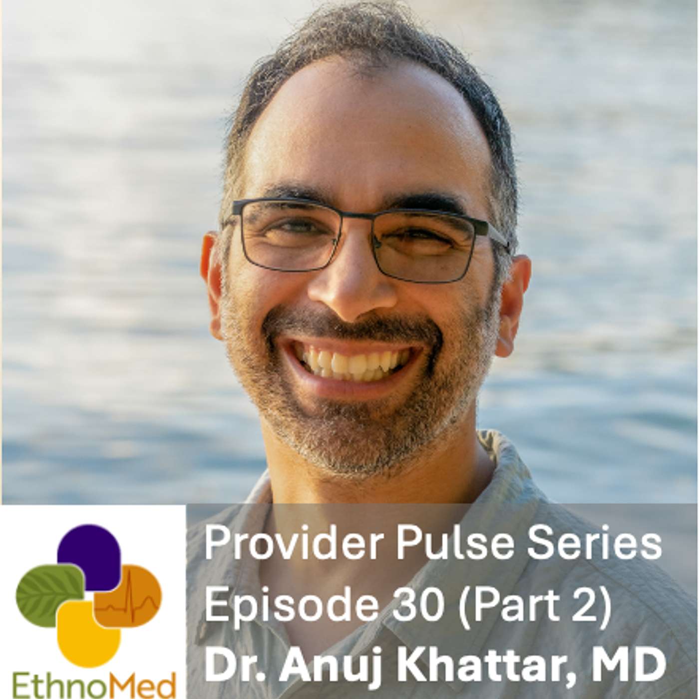 Provider Pulse Ep. 30: Dr. Anuj Khattar, MD (Part 2) – Medicine, Burnout, and Finding Balance