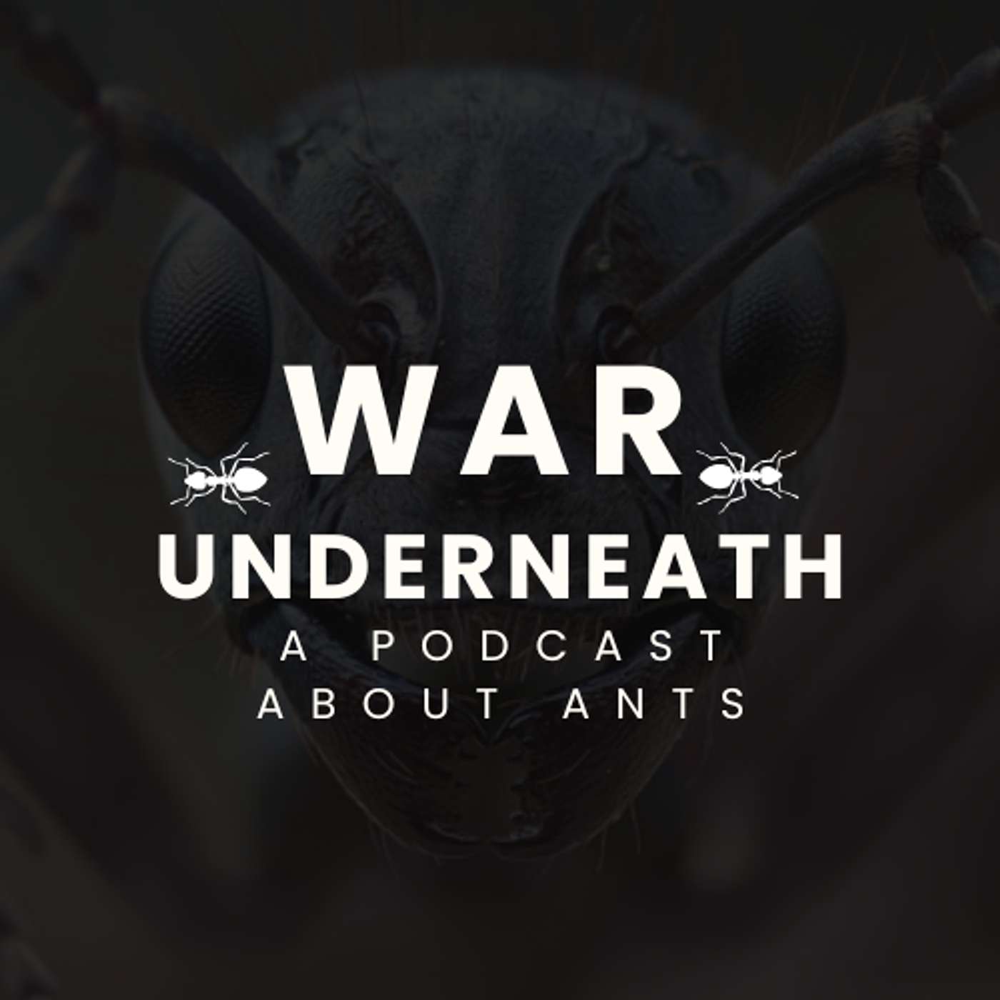 War Underneath