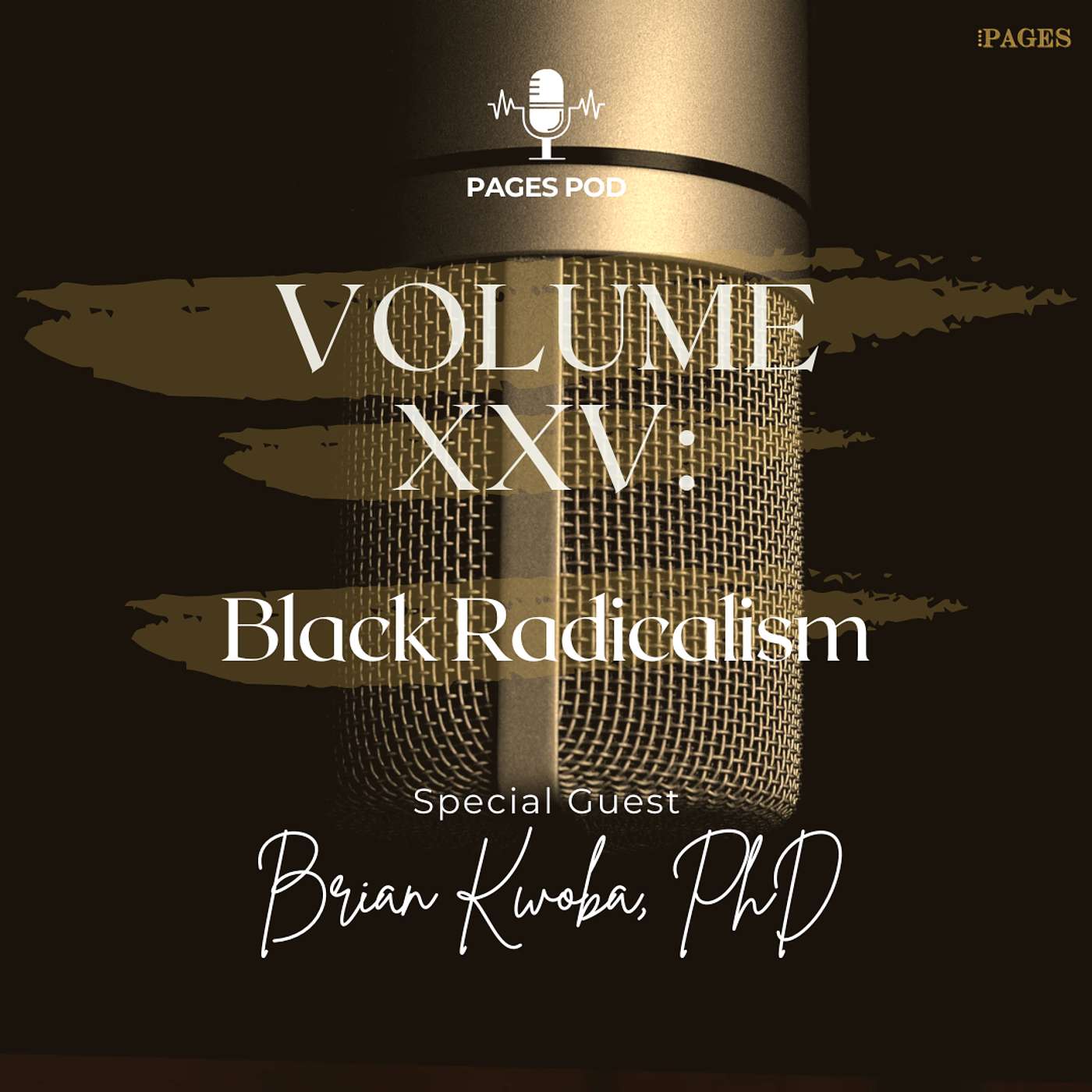 Volume XXV: Black Radicalism w/ Dr. Brian Kwoba episode artwork