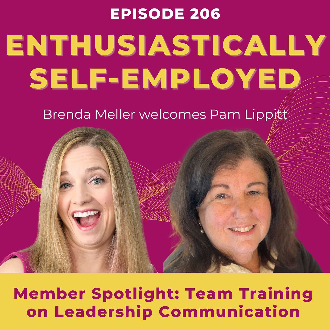Member Spotlight: Team Training - Leadership Communication by Pam Lippitt - Ep 206 Member Spotlight: Team Training - Leadership Communication by Pam Lippitt - Ep 206