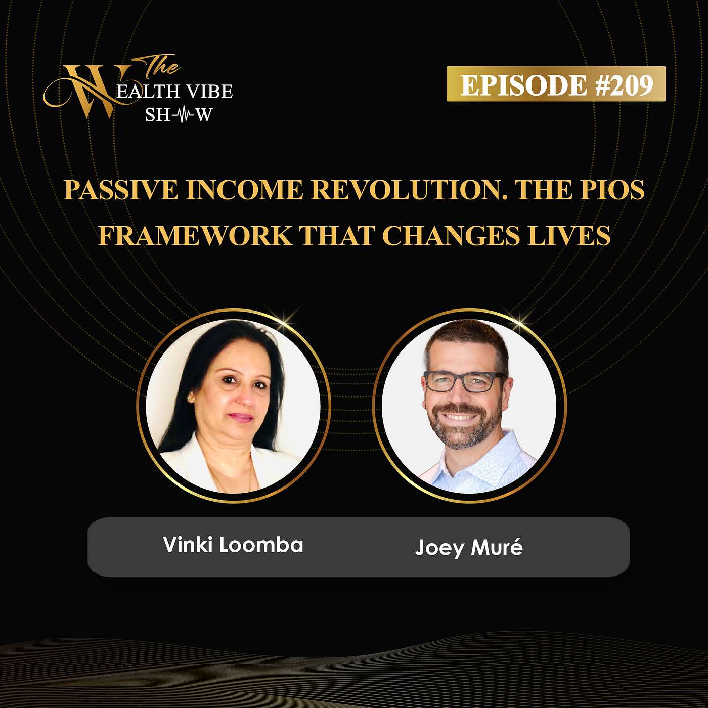 The Wealth Vibe Show!