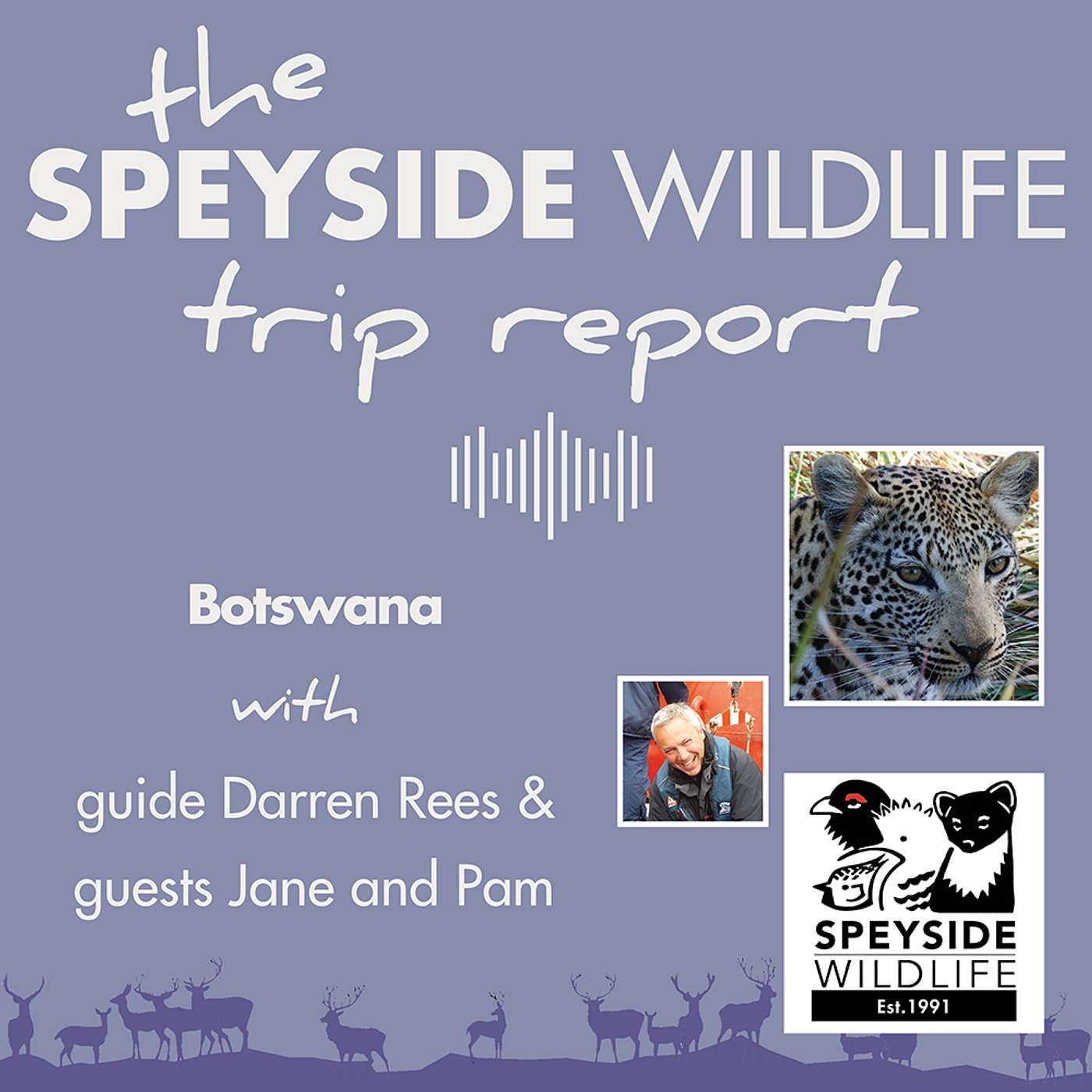 The Speyside Wildlife Trip Report