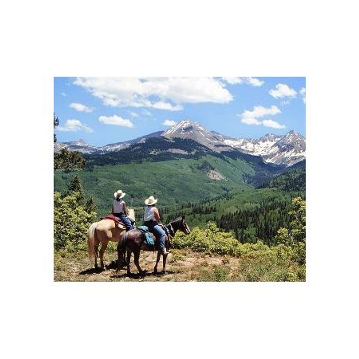 Equestrian Legacy Radio