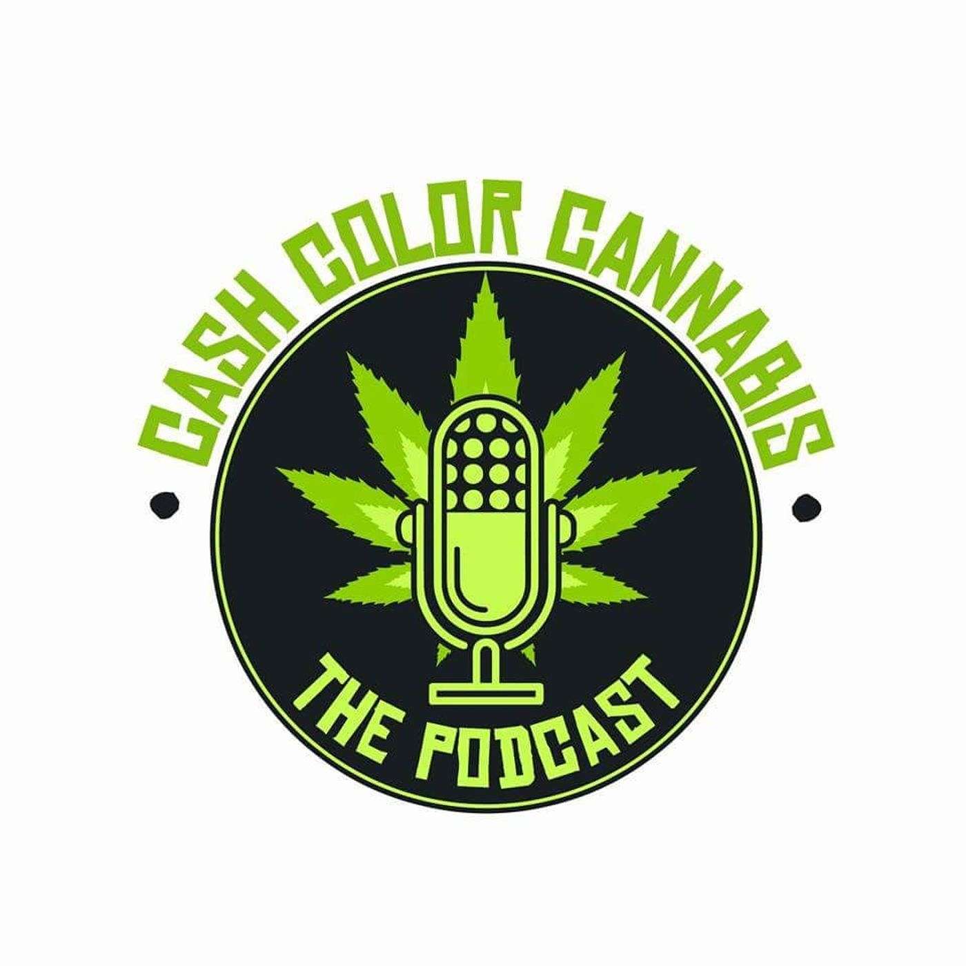 Ted Metz Explains How He Became The Libertarian Candidate for Governor & More episode artwork