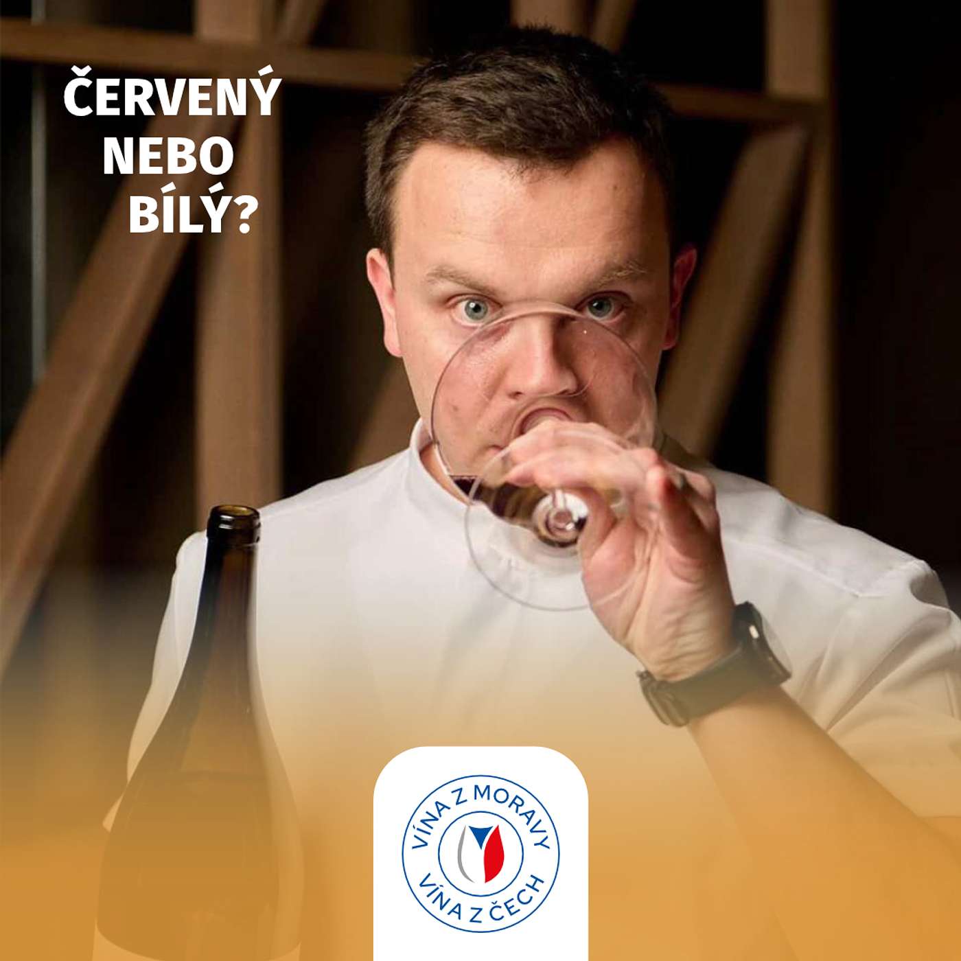 046: Zdeněk Oudes o cestě k Michelin Sommelier Award a síle lokálních vín episode artwork
