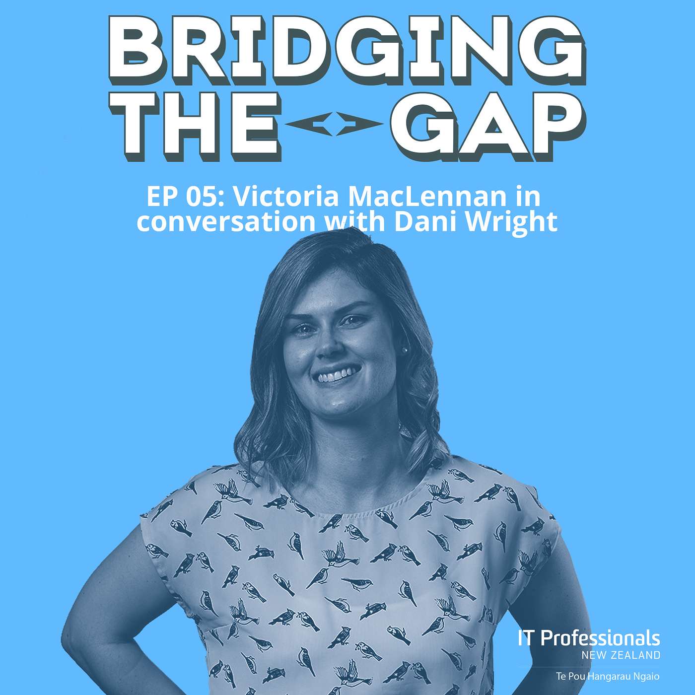Bridging The Gap