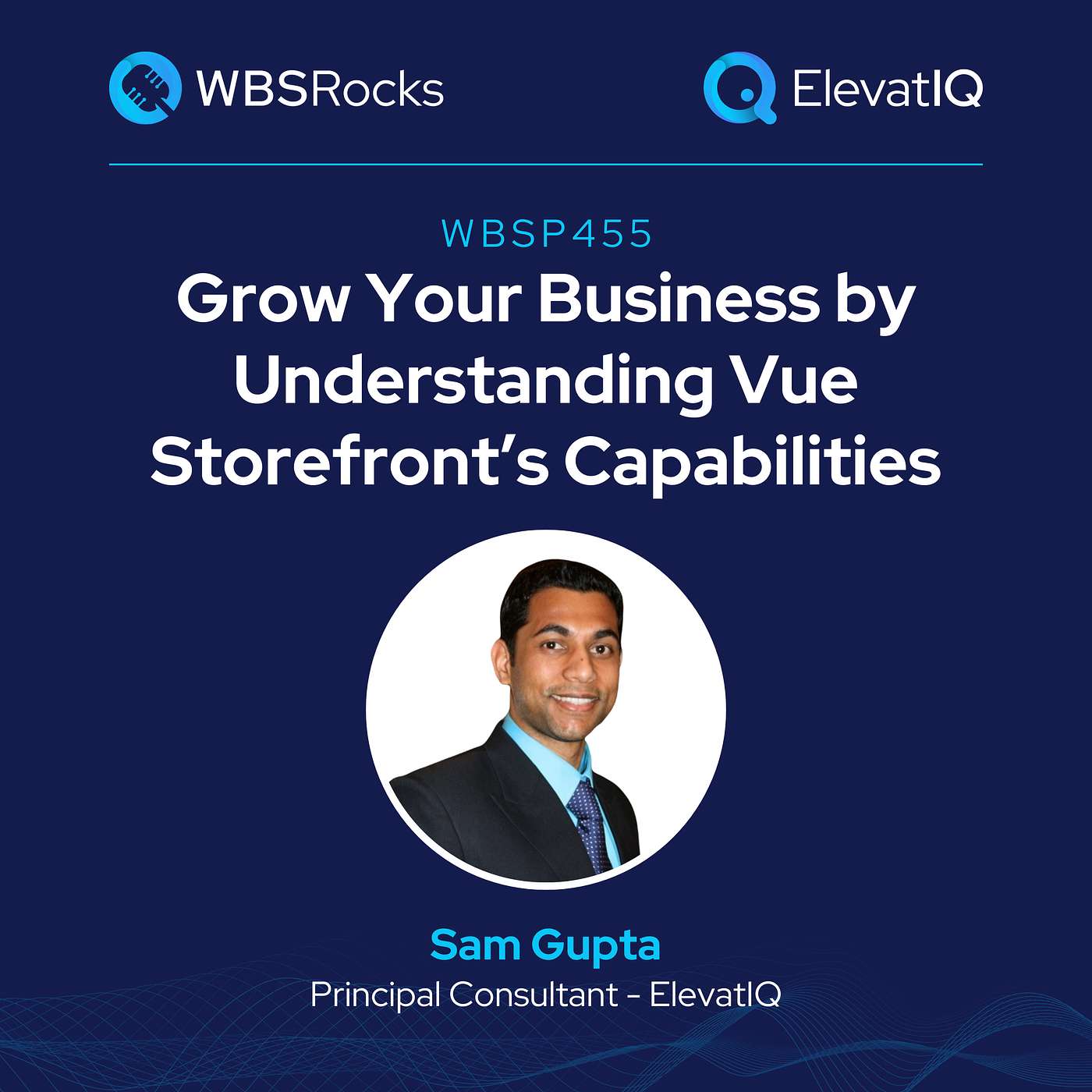 WBSP455: Grow Your Business by Understanding Vue Storefront’s Capabilities, an Objective Panel Discussion