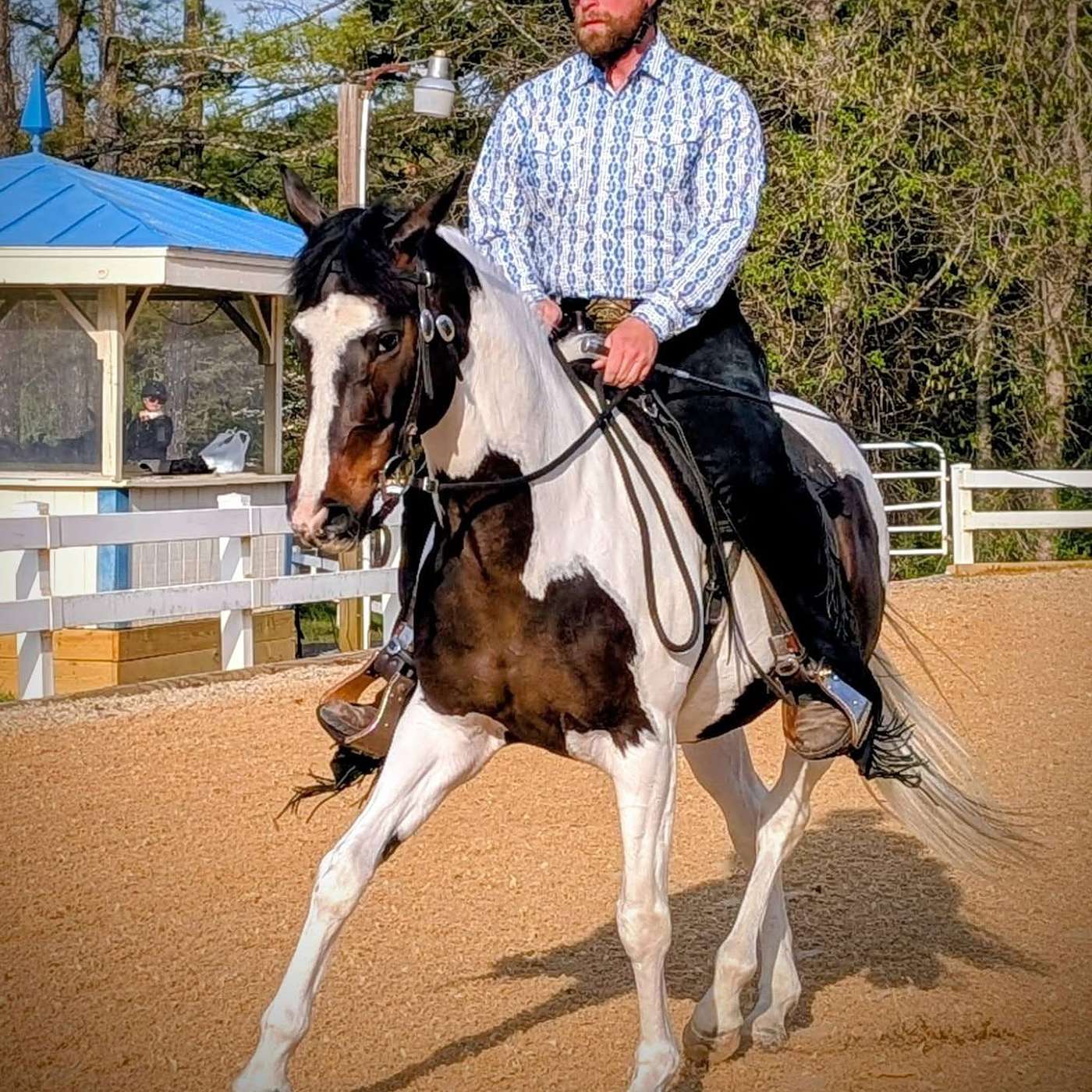 Brandon Salmons, Horseman, Trainer and more episode artwork