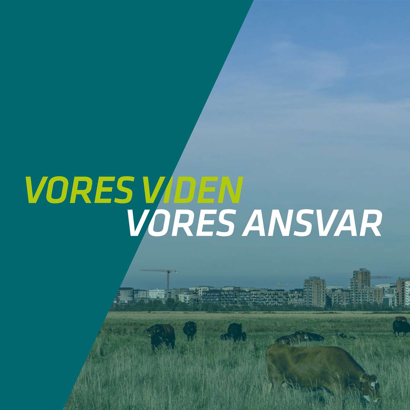 Vores Viden - Vores Ansvar