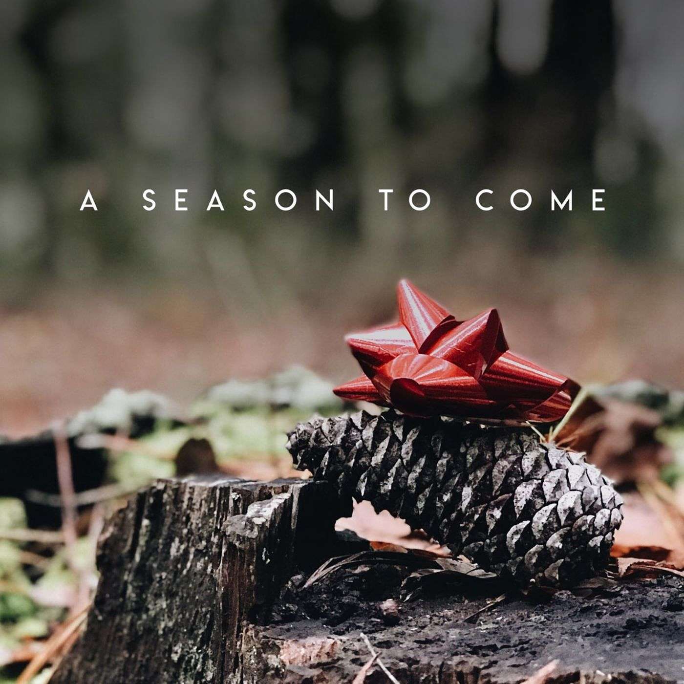 A Season To Come - Week II