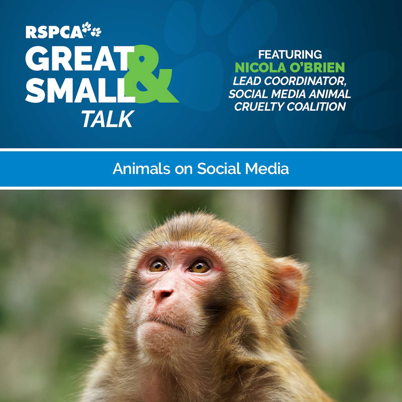Animals on Social Media episode artwork