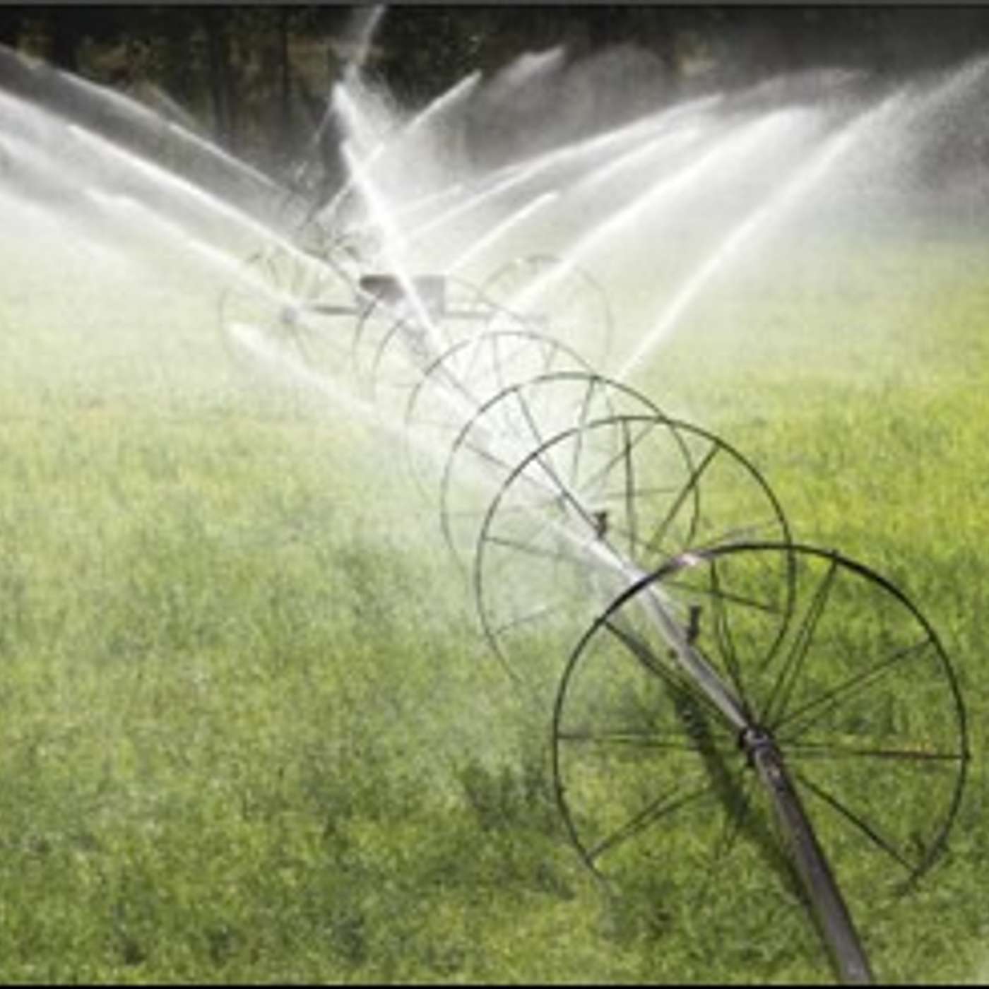 Interested in Community Irrigation?