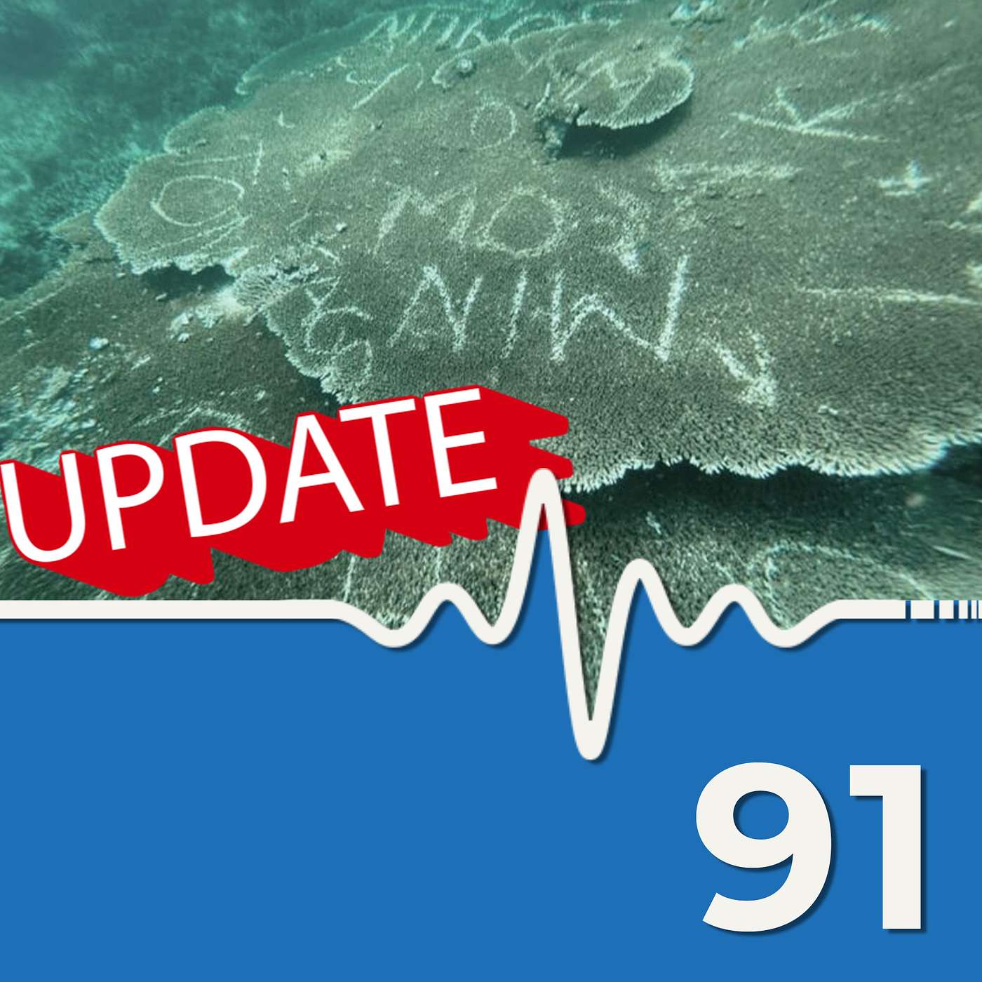 Guides Were Paid to Graffiti Coral #scuba #news #podcast