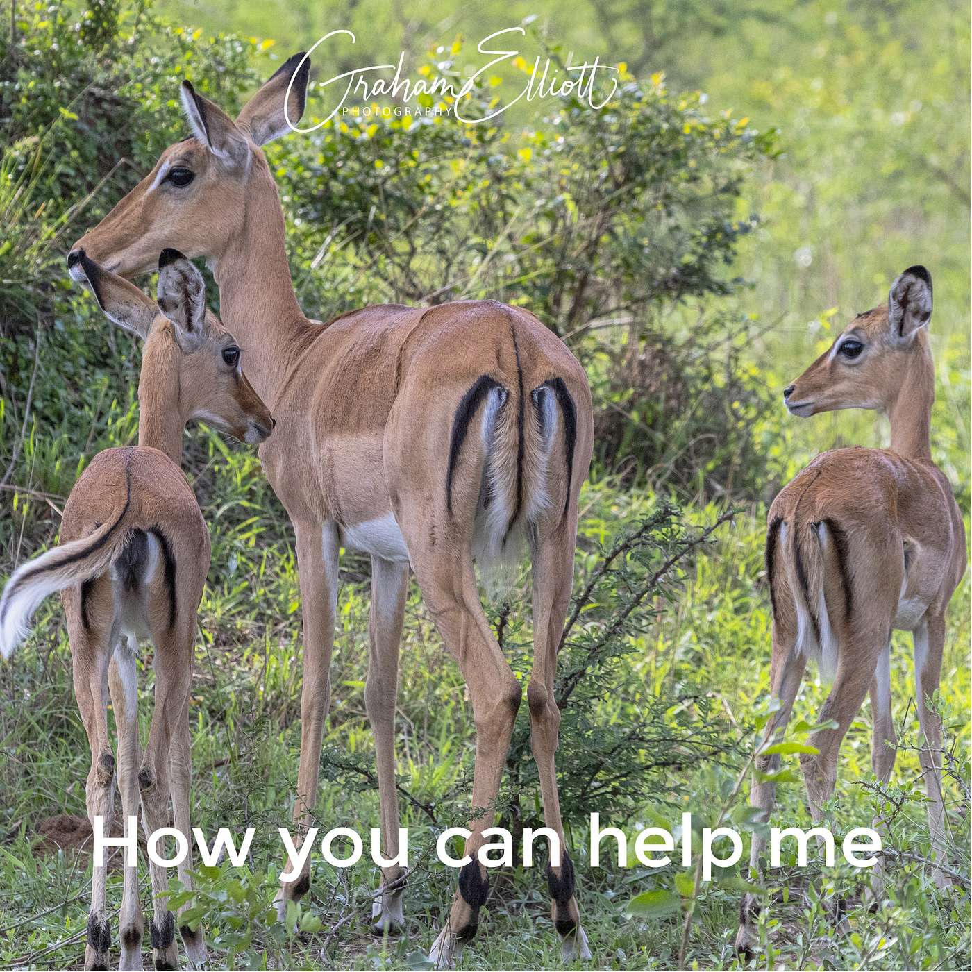 How you can help me
