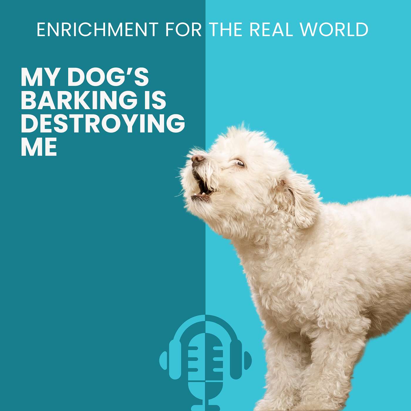 #176 - My Dog's Barking Is Destroying Me episode artwork