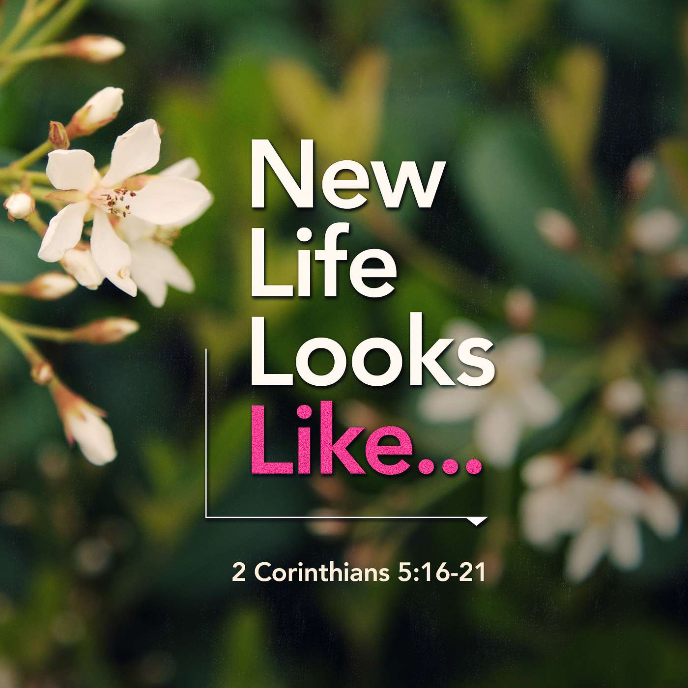 New Life Looks Like: New Creation - Week One episode artwork