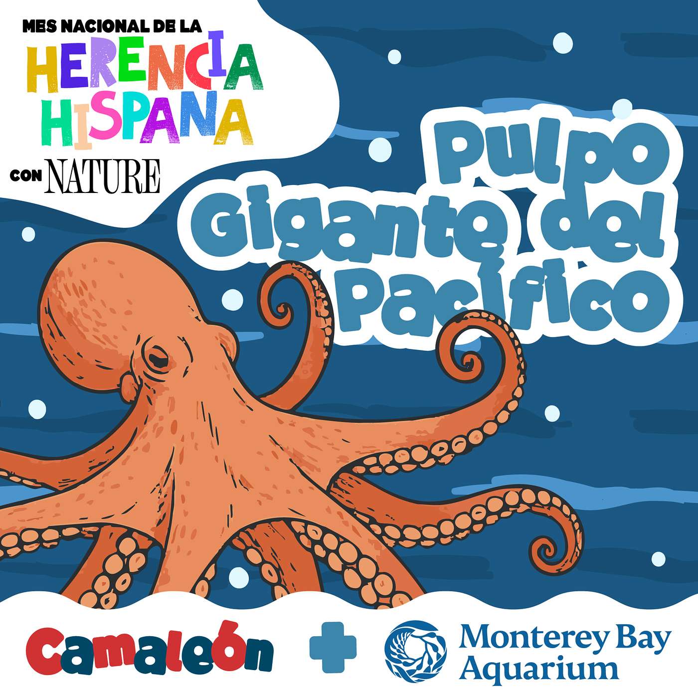 Pulpo gigante del Pacífico: 9 cerebros y 3 corazones ❤️🧠 episode artwork