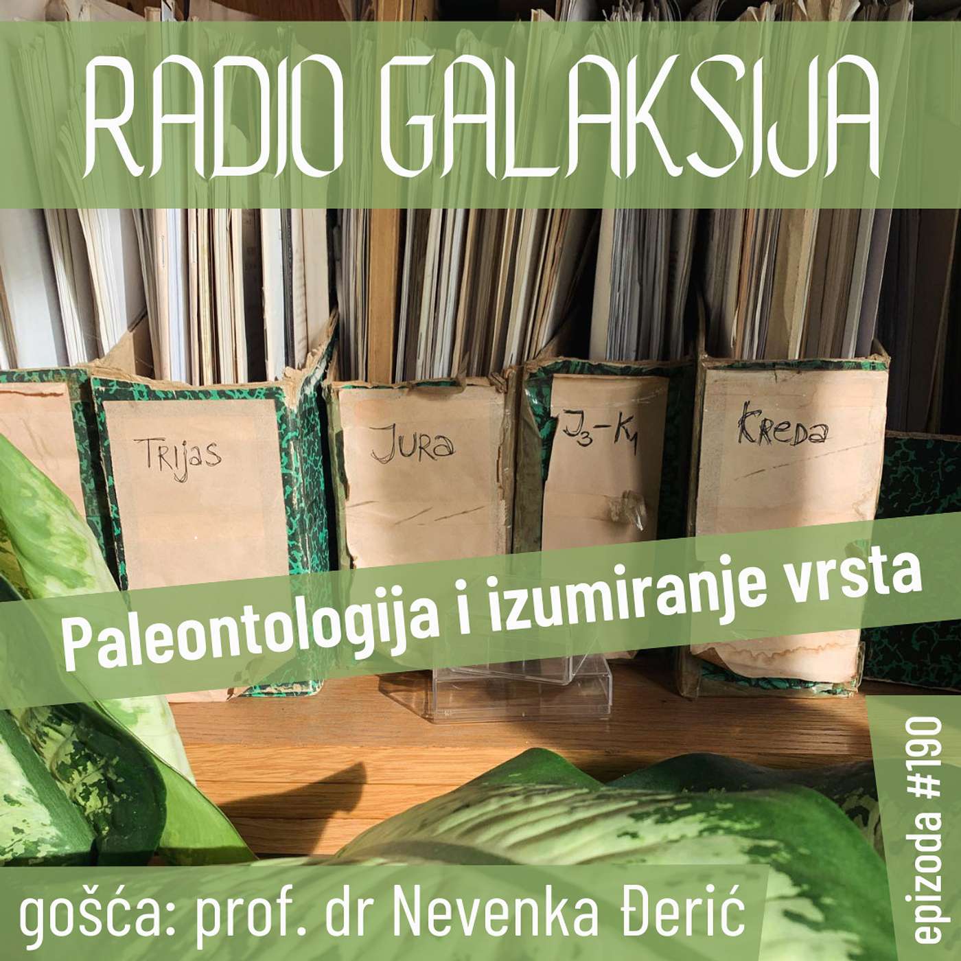 Radio Galaksija #190: Paleontologija i izumiranja vrsta (prof. dr Nevenka Đerić) [14-11-2023]