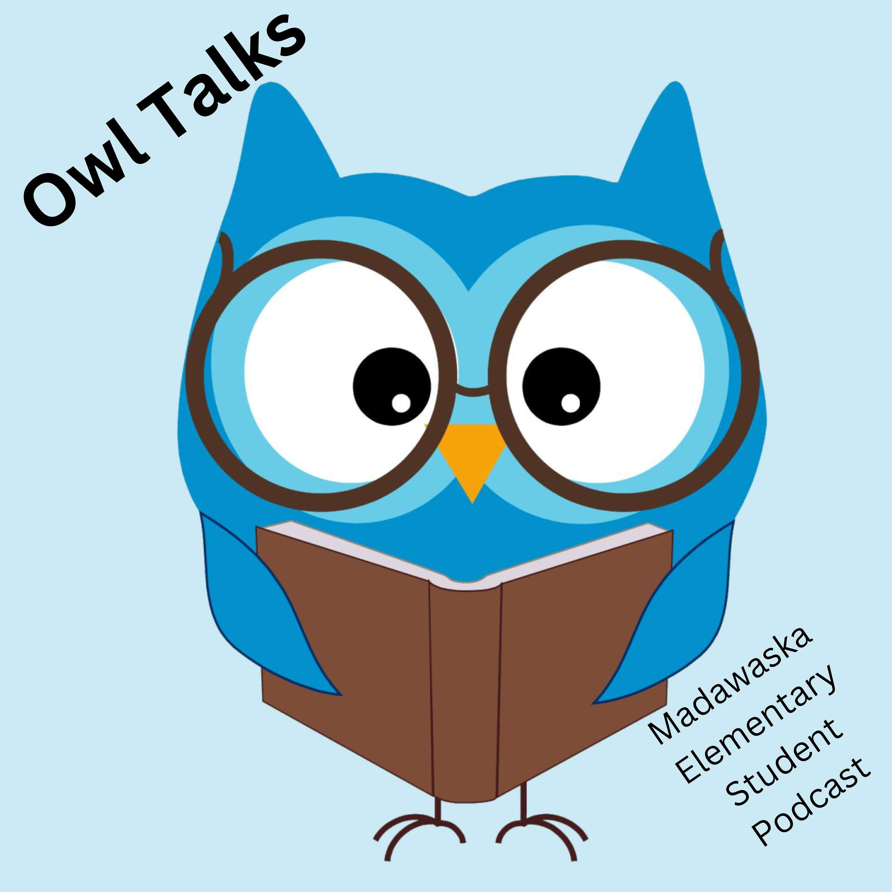 Owl Talks