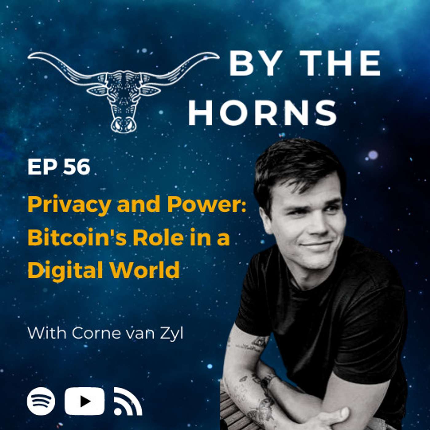 By The Horns: A Bitcoin podcast about South Africa