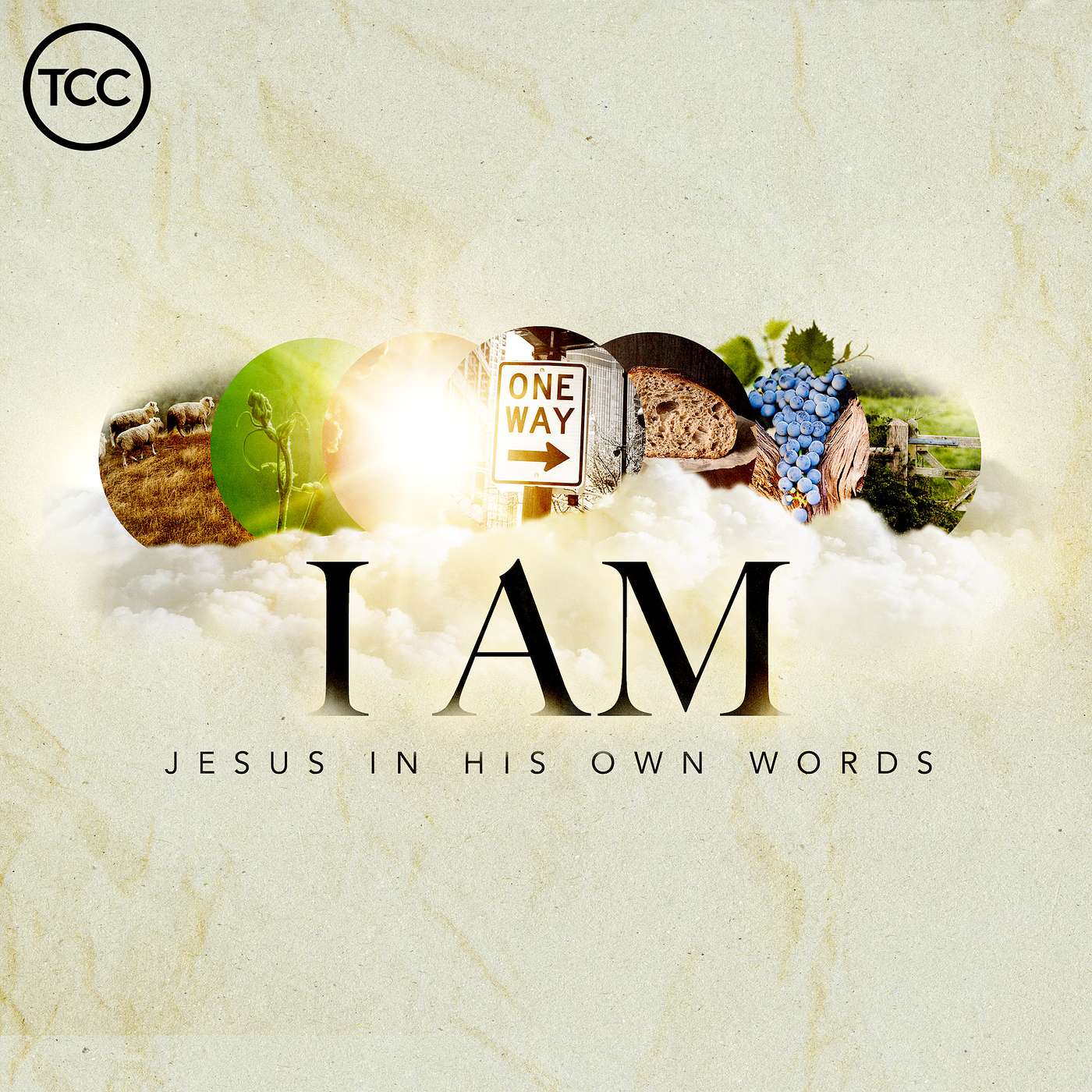 I AM - The True Vine