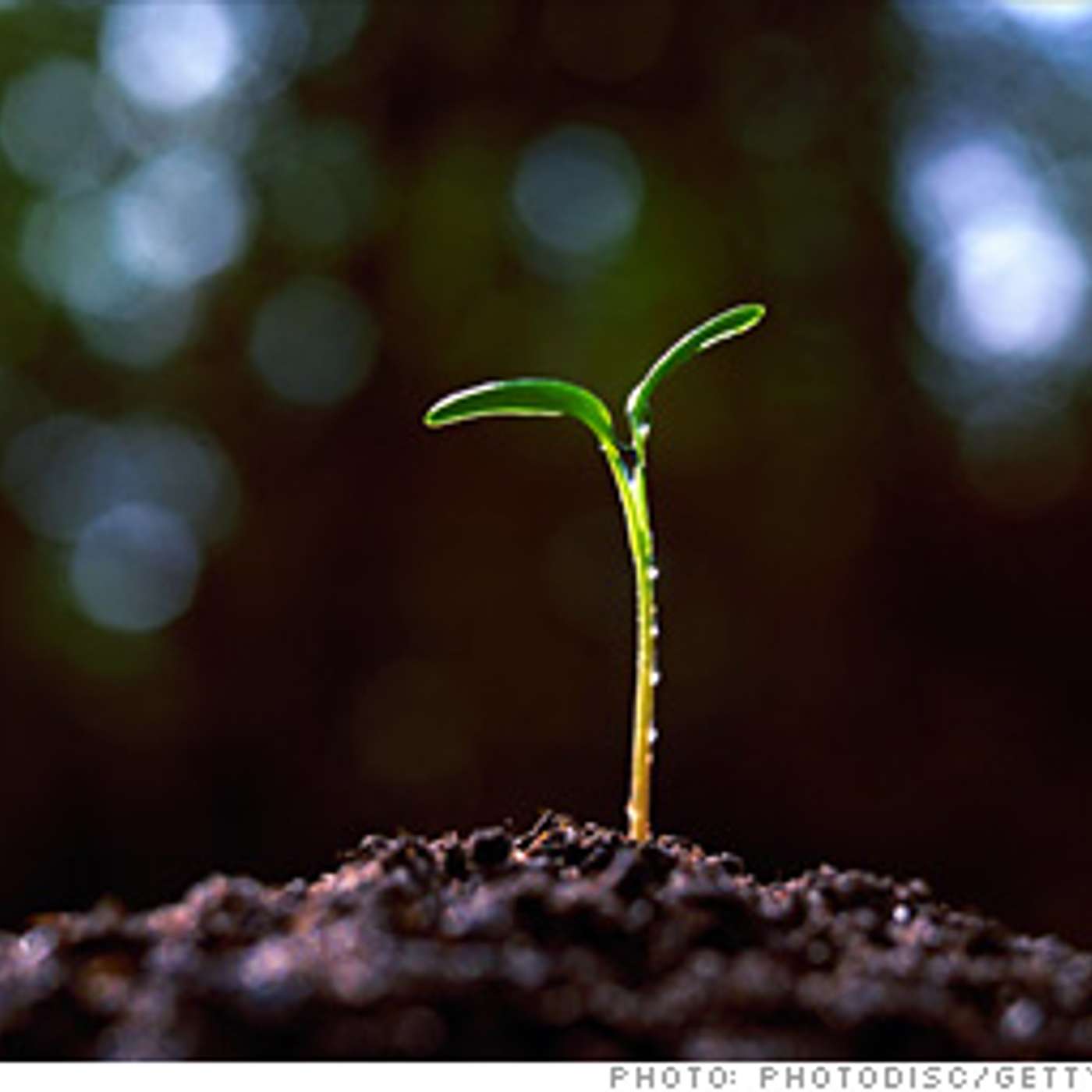 C&SI - Seeking signs of Hope - 28 August 2022 (S02E41)