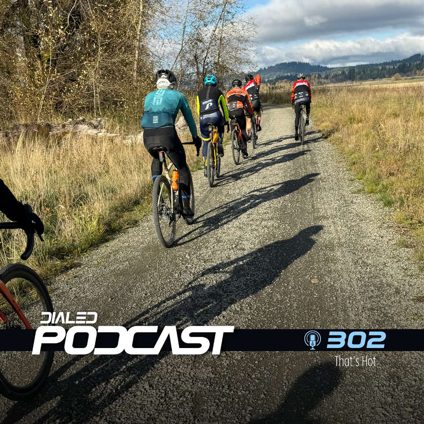 Dialed Podcast 302 - Who's the a-hole? What is up with Wahoo and Zwift's relationship now? episode artwork