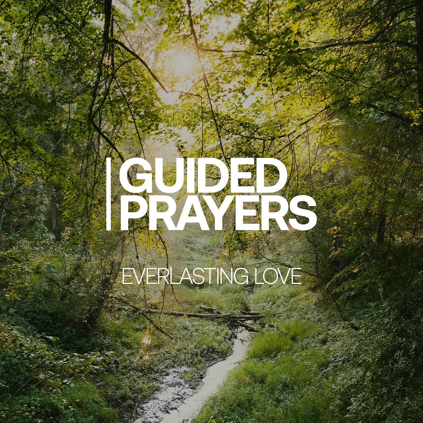 Being Blessed By Everlasting Love | Guided Prayers