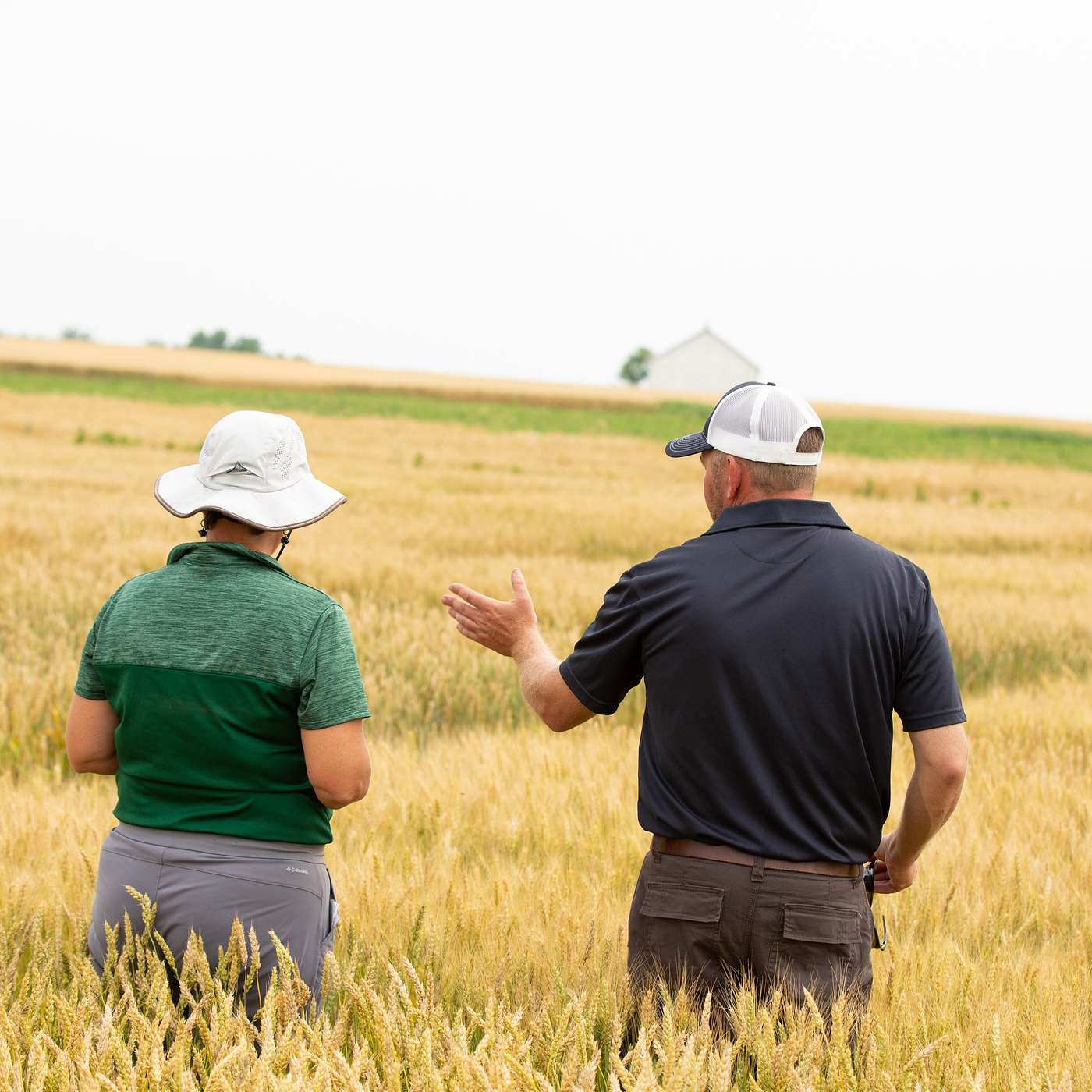 S3E26:What Can a Certified Crop Adviser Do for You?