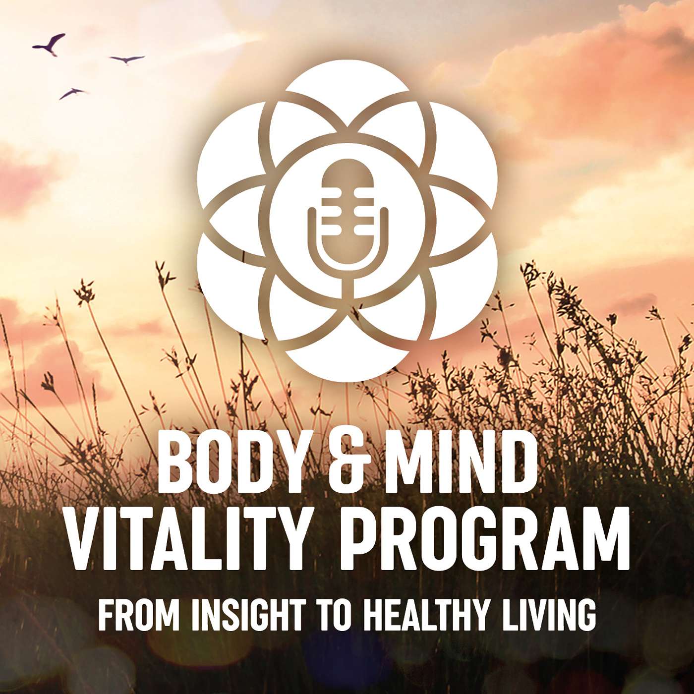 Body & Mind Vitality program podcast artwork