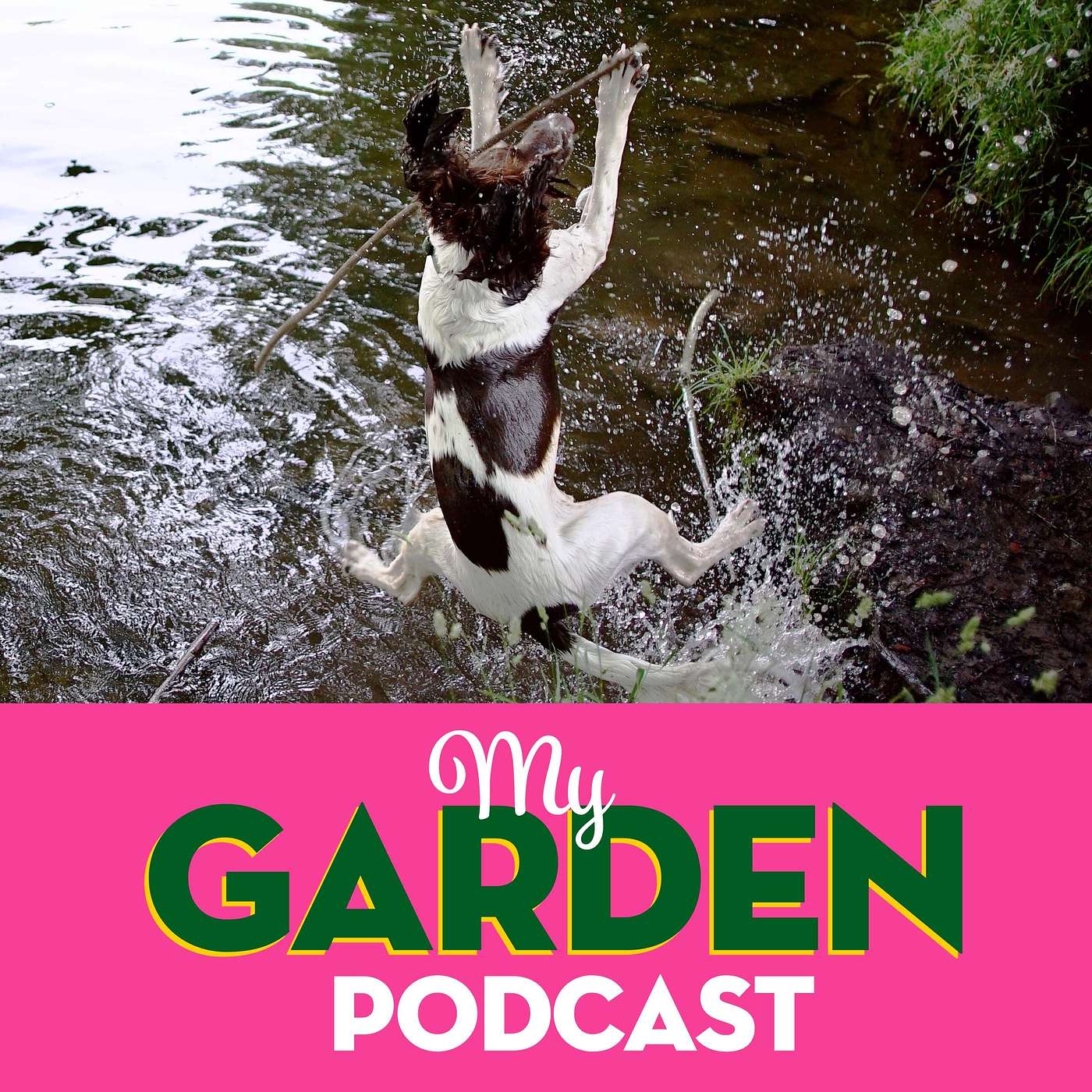 My Garden Podcast - Gardening Podcast