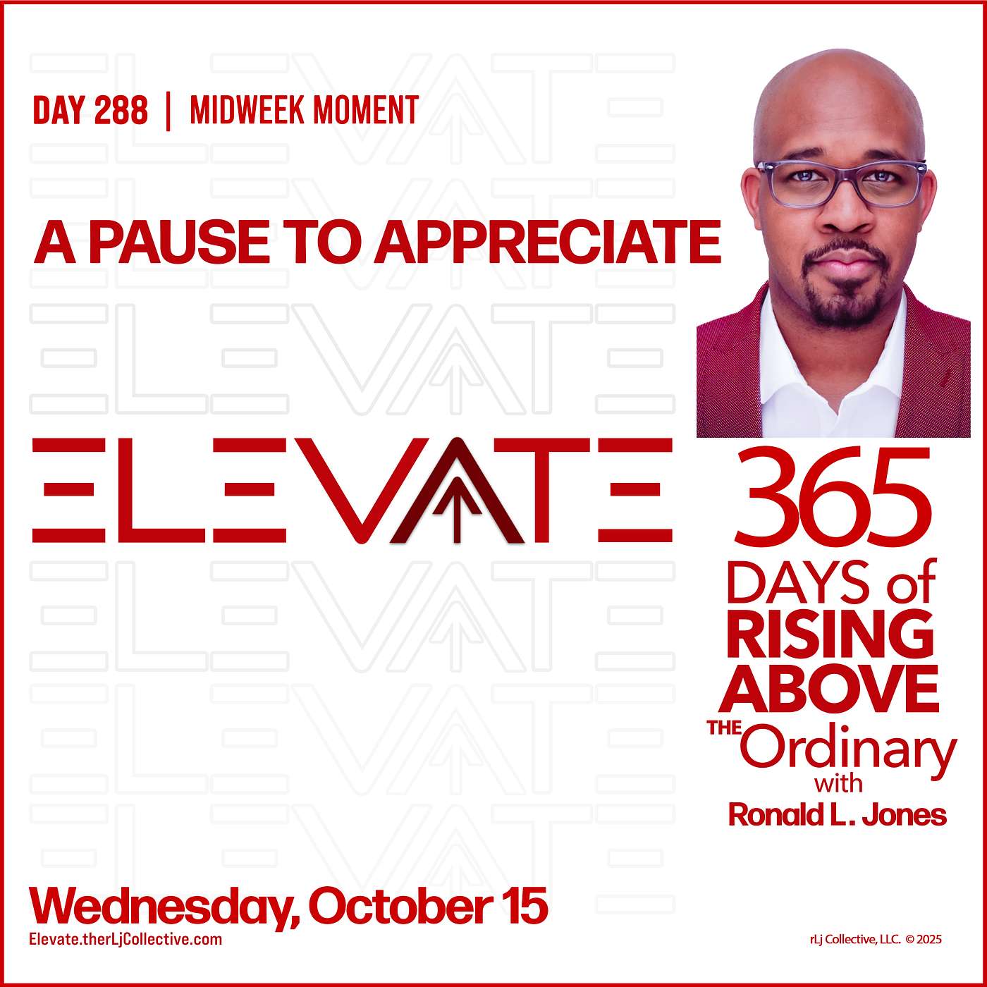 Day 288: A Pause to Appreciate