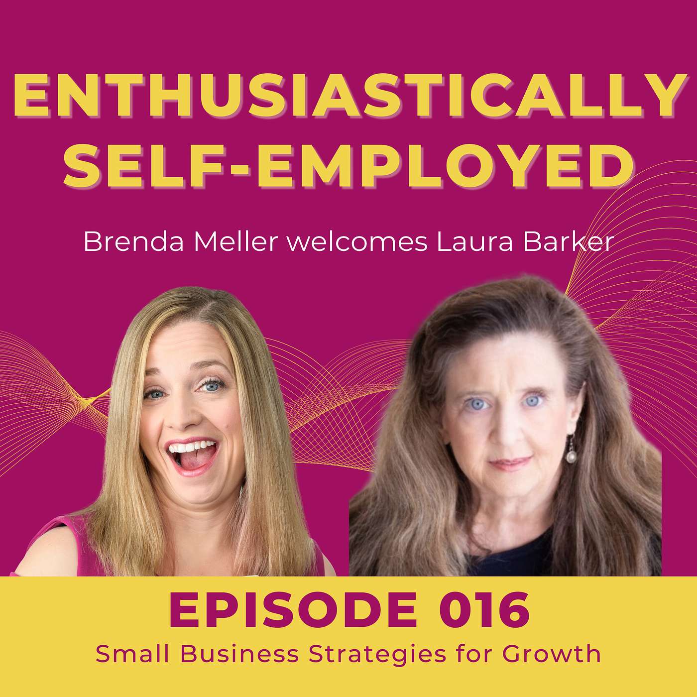 016 Small Business Strategies for Growth with Laura Barker