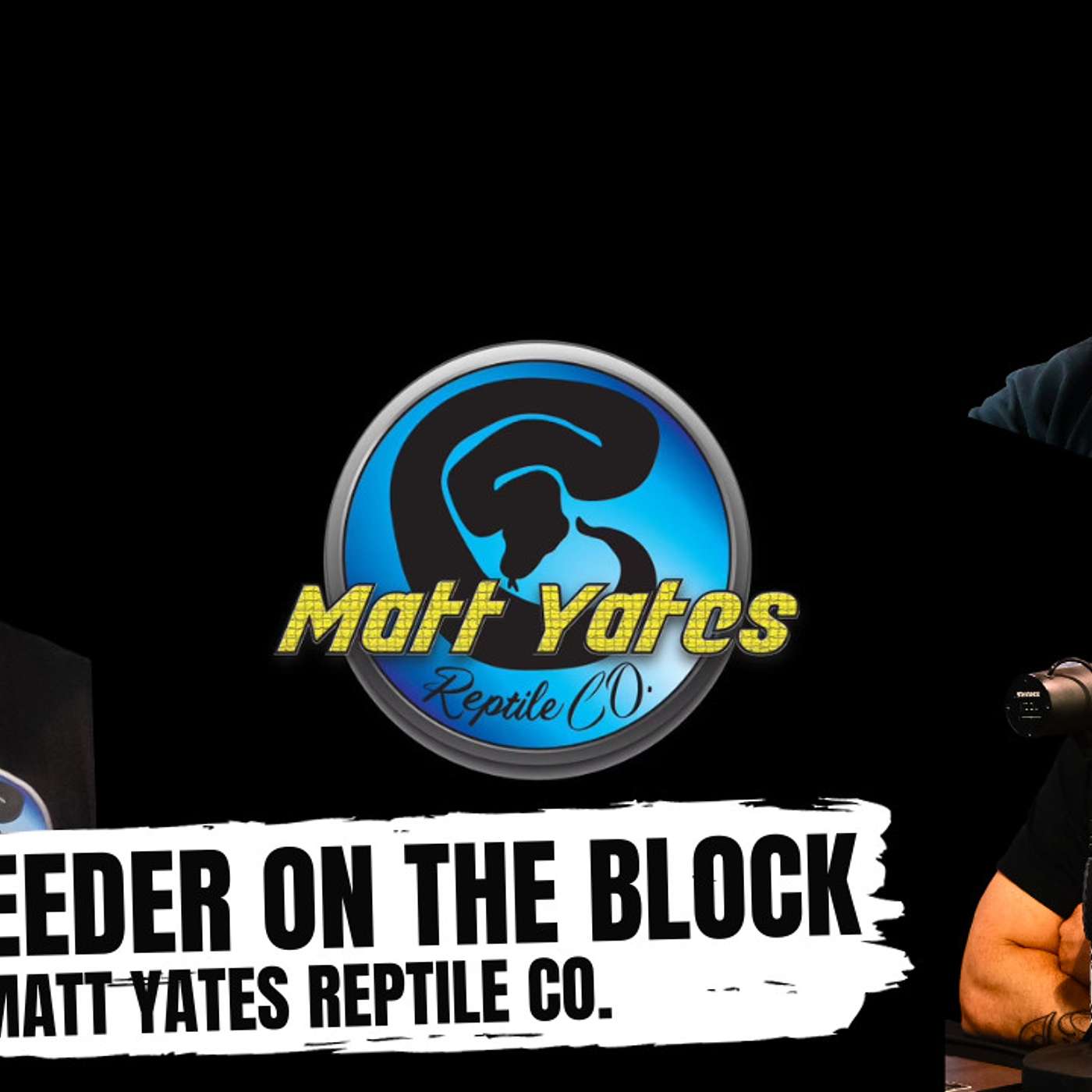 What is Matt Yates's game plan breeding Ball Pythons in 2024 | New Breeder On The Block