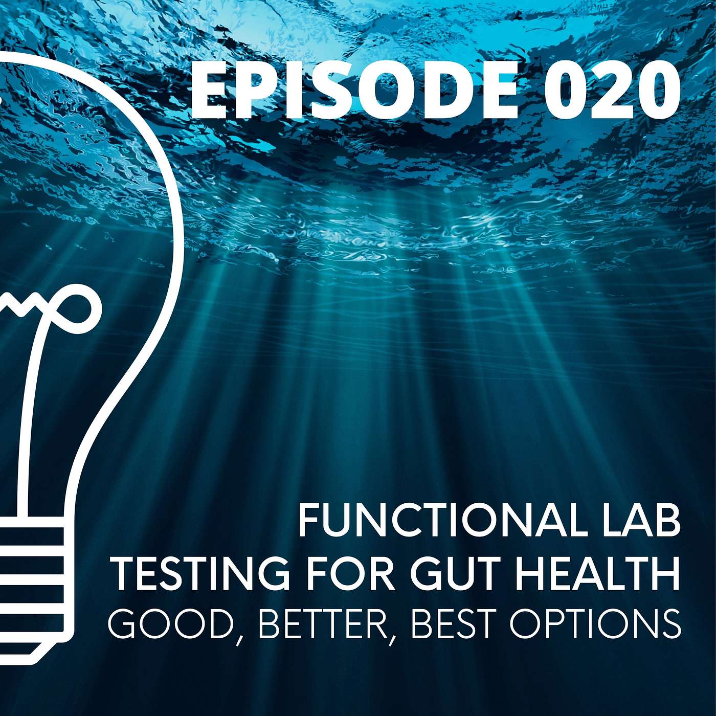 020 - Functional Lab Testing for GUT HEALTH - Good, Better, Best Options episode artwork