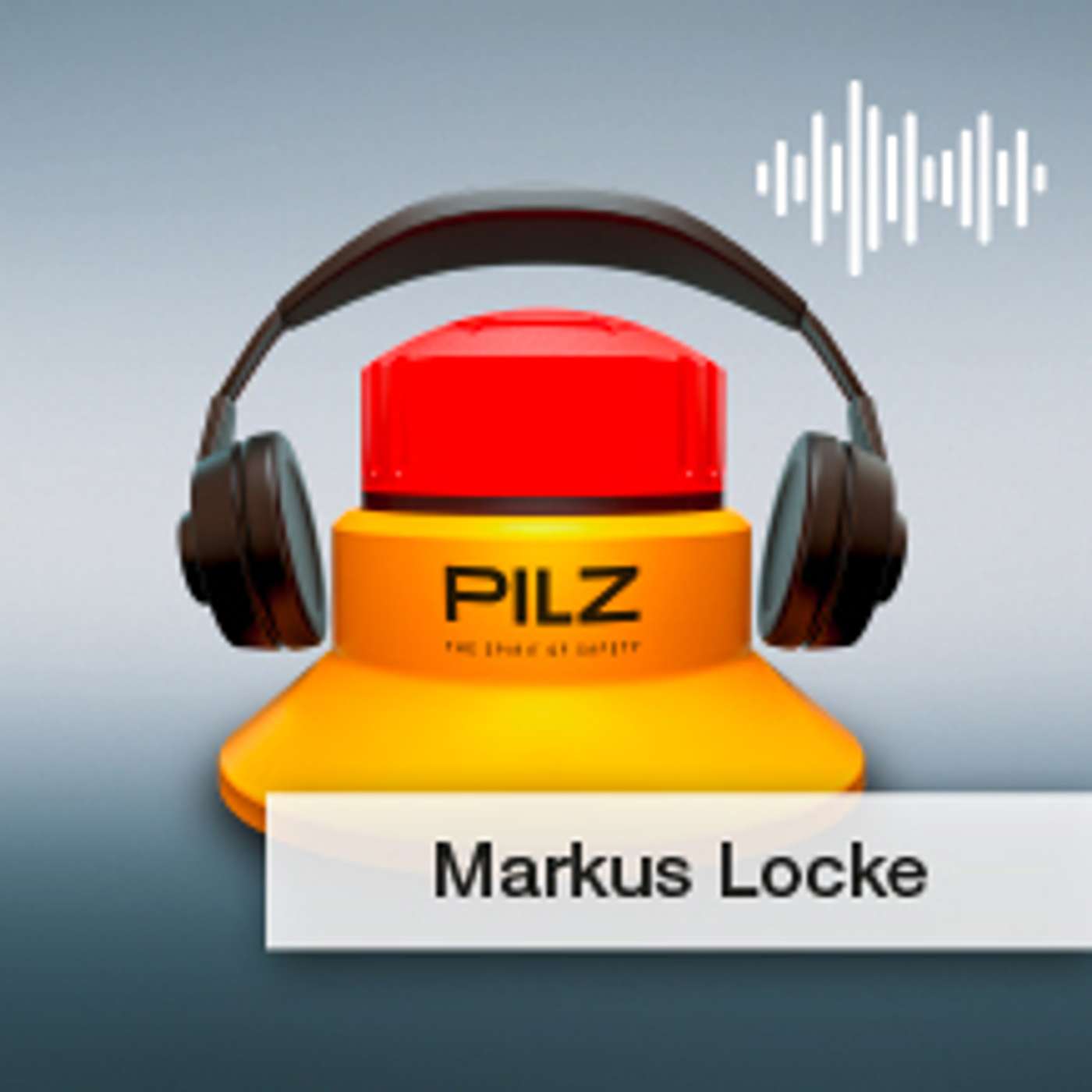 Pilz GmbH & Co. KG