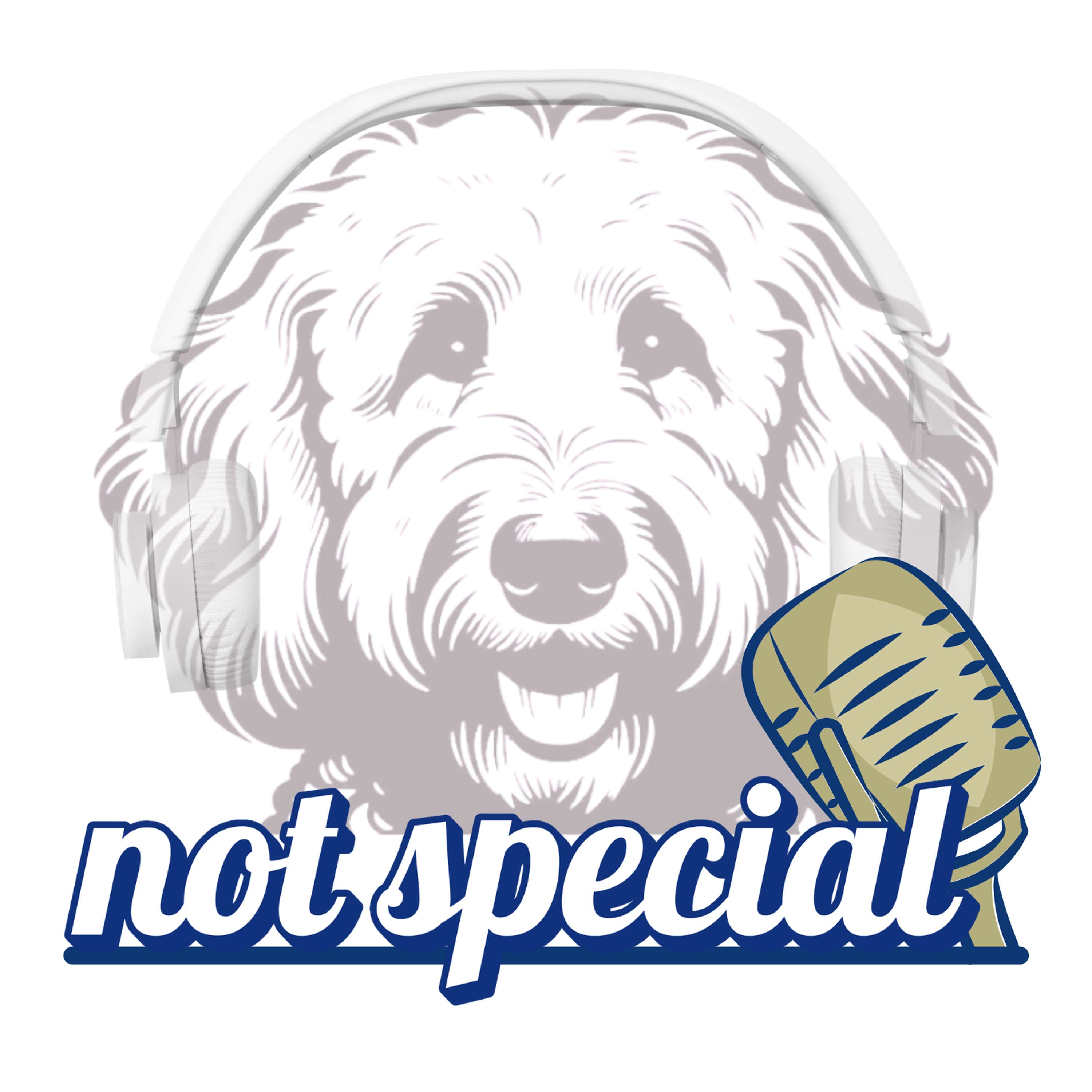 Not Special: A Liberty Speaks Show