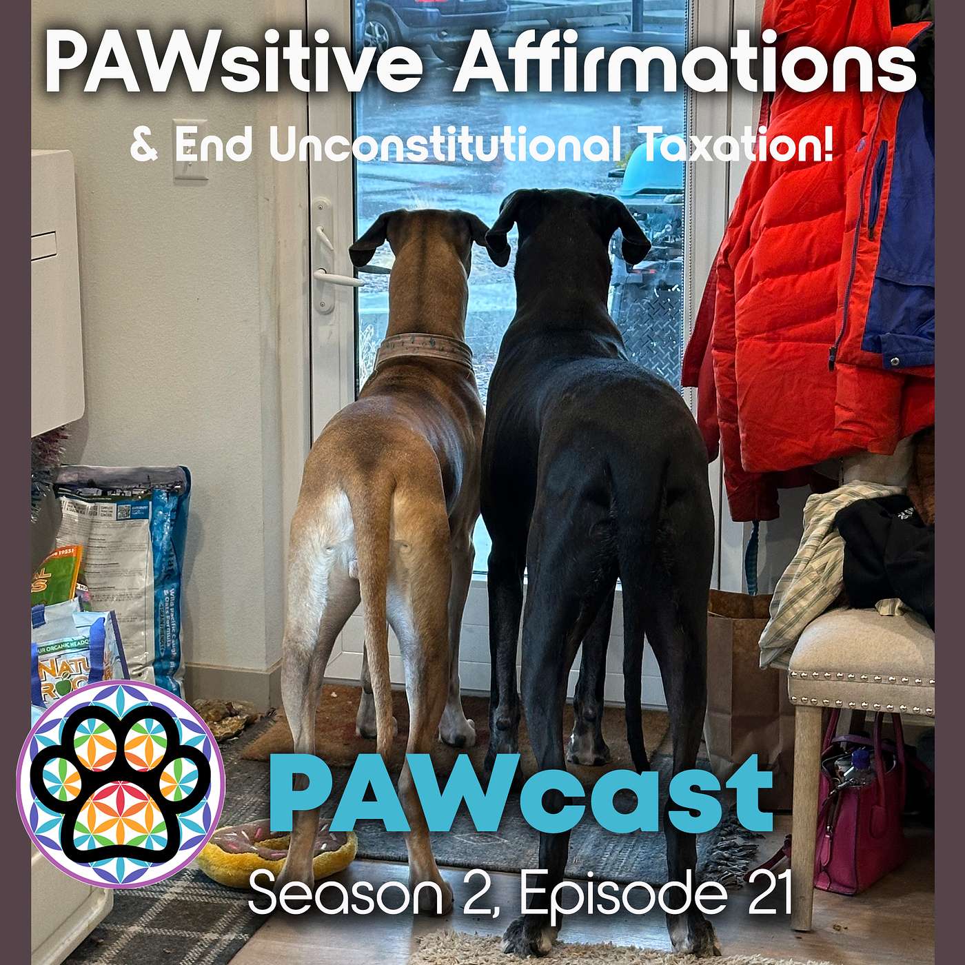 Abolish the IRS + Tilly's PAWsitive Affirmations episode artwork