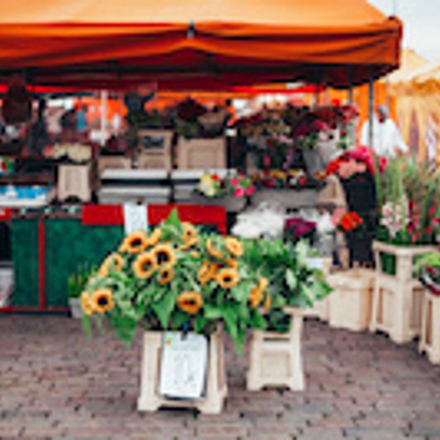 Level B S01E15 Der Wochenmarkt