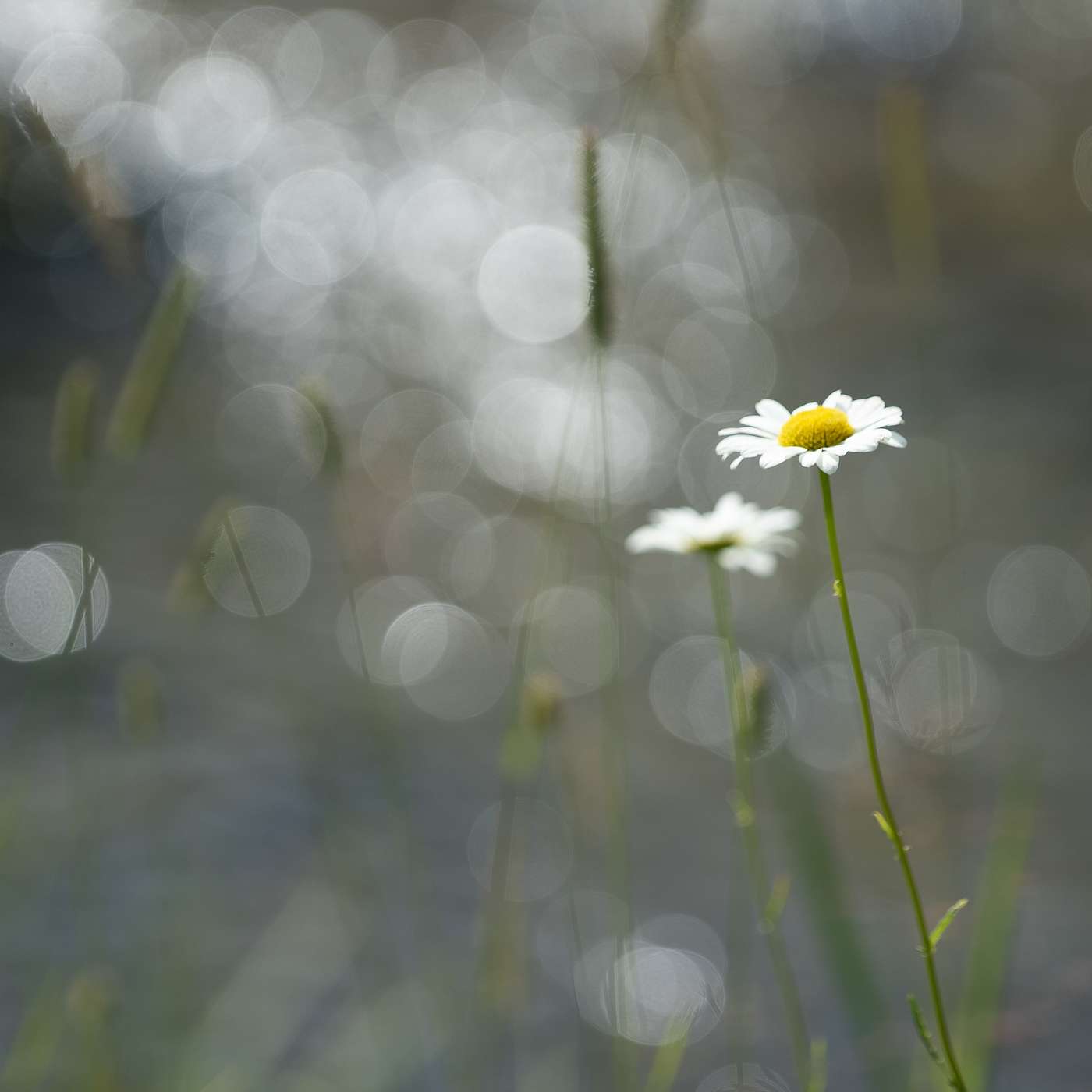 The Moment Everything Changed for Our Family at Turning Winds