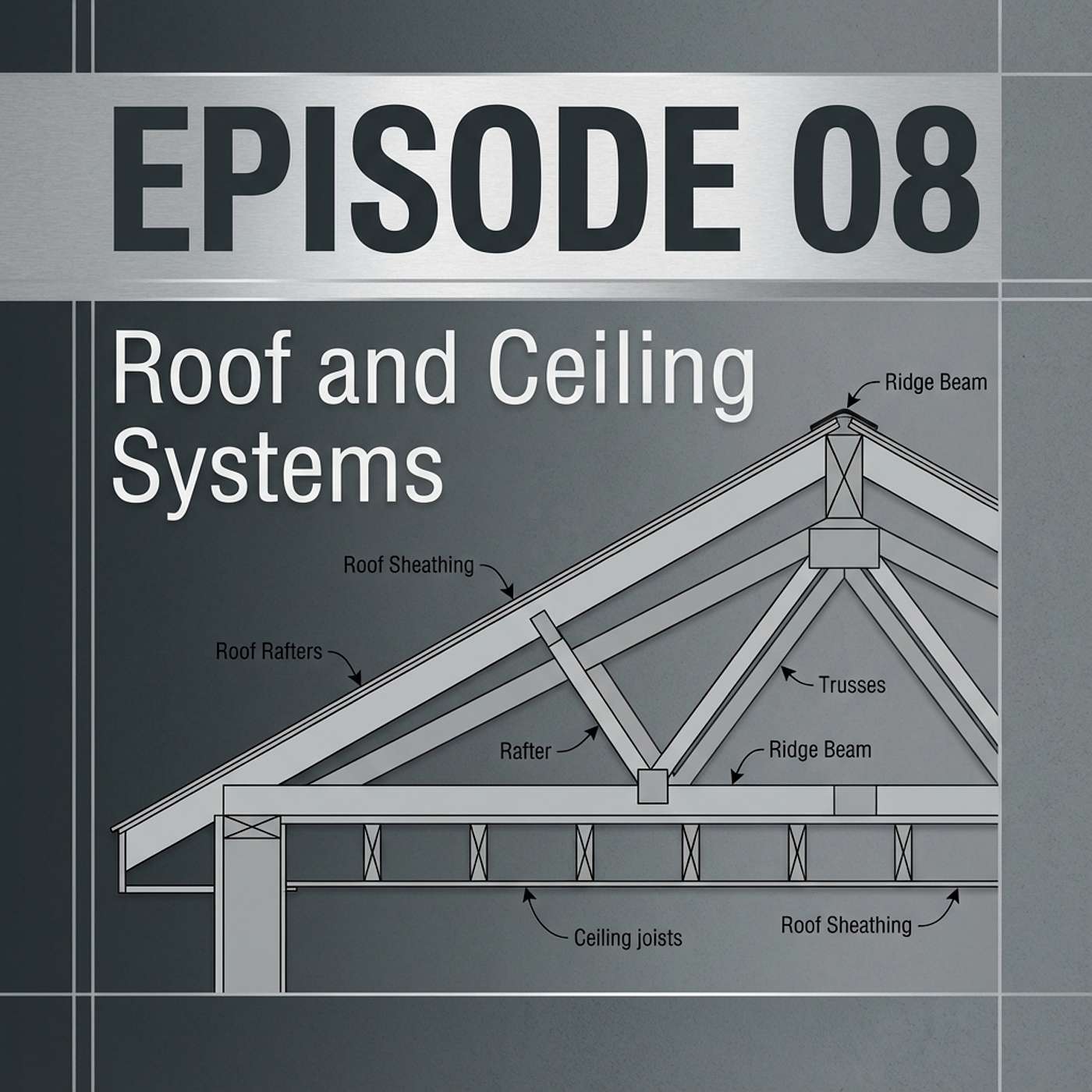 08 - Roof and Ceiling Systems episode artwork