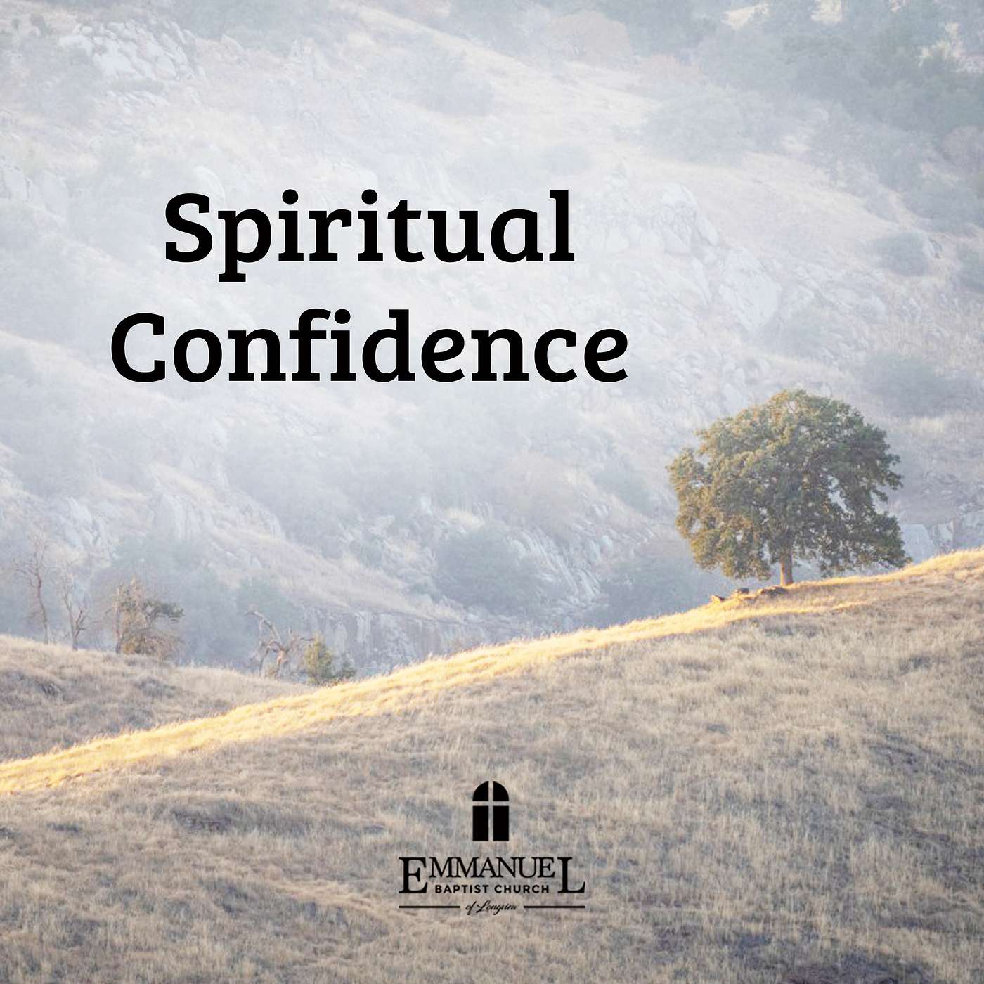 Spiritual Confidence Sun PM 12/27/20 - Pastor Bob Gray II episode artwork