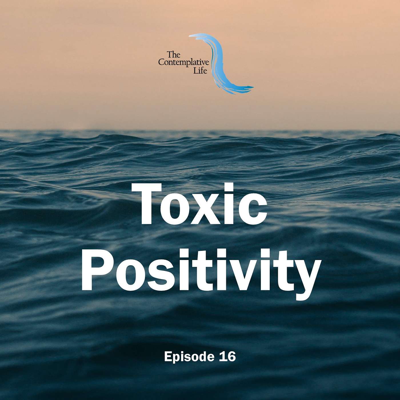 Ep 16 Toxic Positivity
