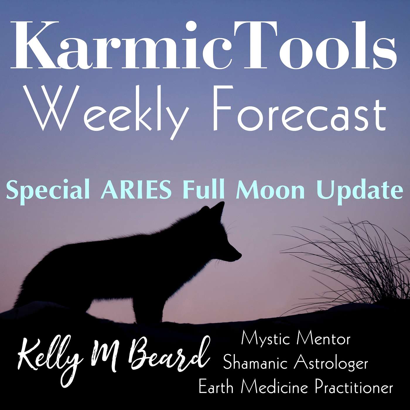 Special ARIES Full Moon Update