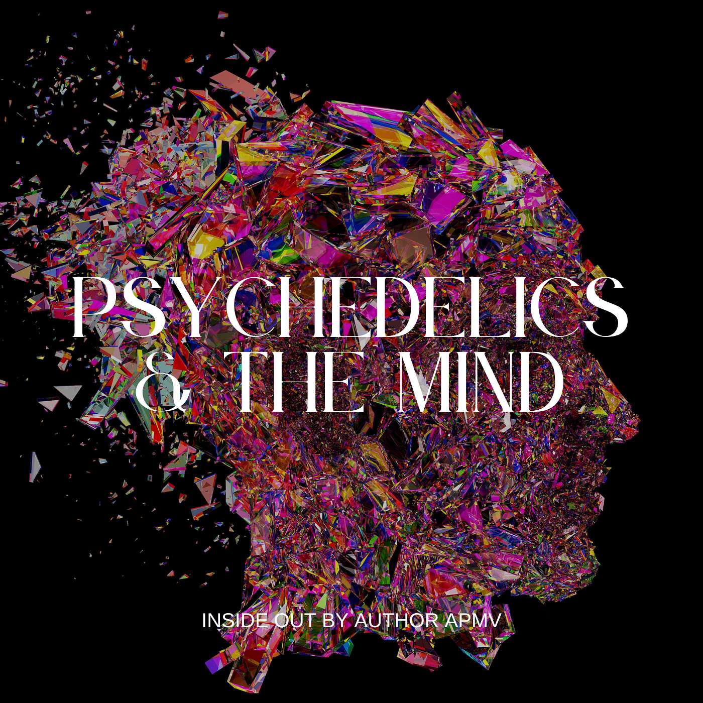 How Psychedelics Change Neural Connectivity and Perception episode artwork