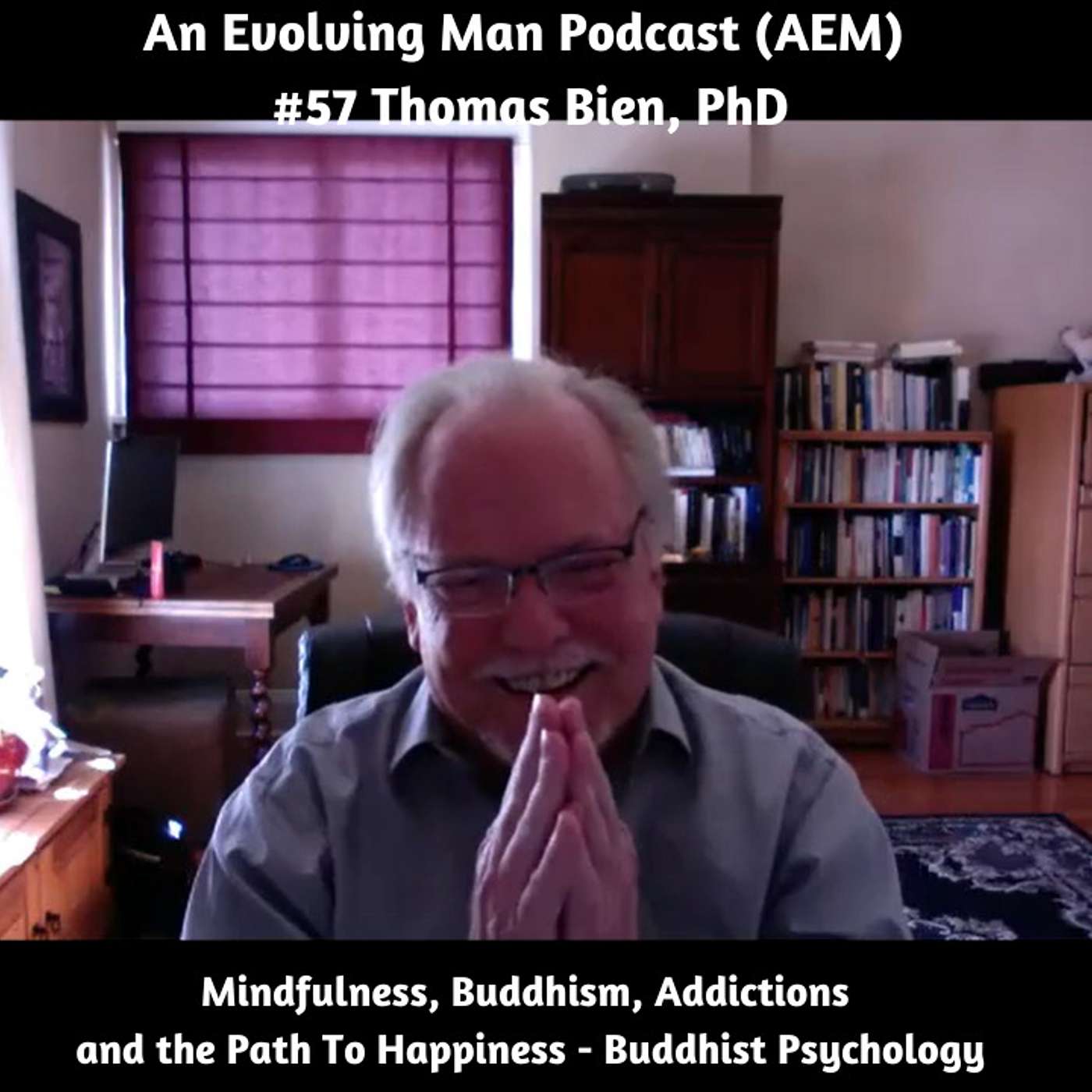 AEM #57 Thomas Bien – Mindfulness, Buddhism, Addictions and the Path To Happiness - Buddhist Psychology episode artwork